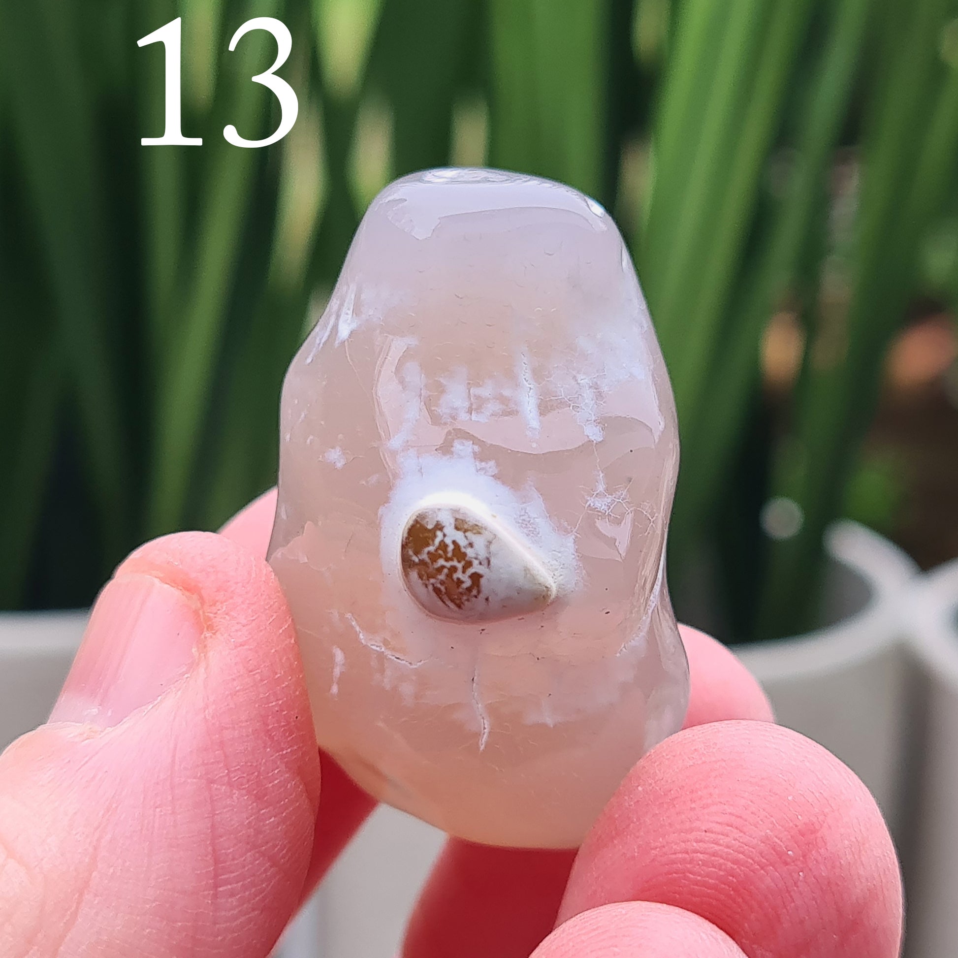 Snakeskin Agate Crystal from Oregon, USA, is a rare, semi-translucent stone with unique markings resembling snake skin. 