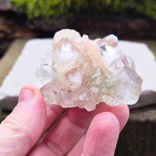 Apophyllite Crystal Cluster from India. Lovely cluster with some stilbite and a hint of green within it. Also known as a Zeolite.