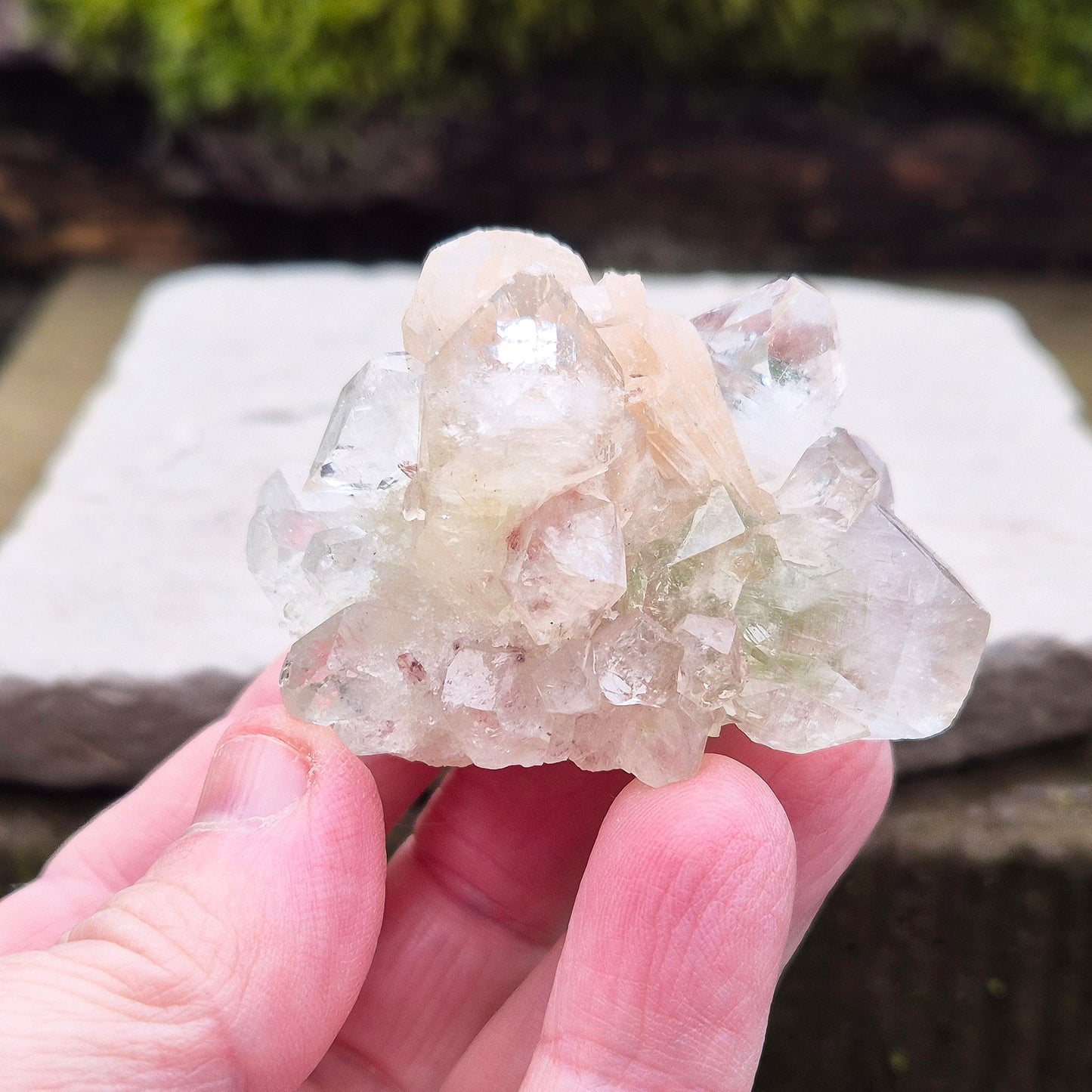 Apophyllite Crystal Cluster, Zeolite