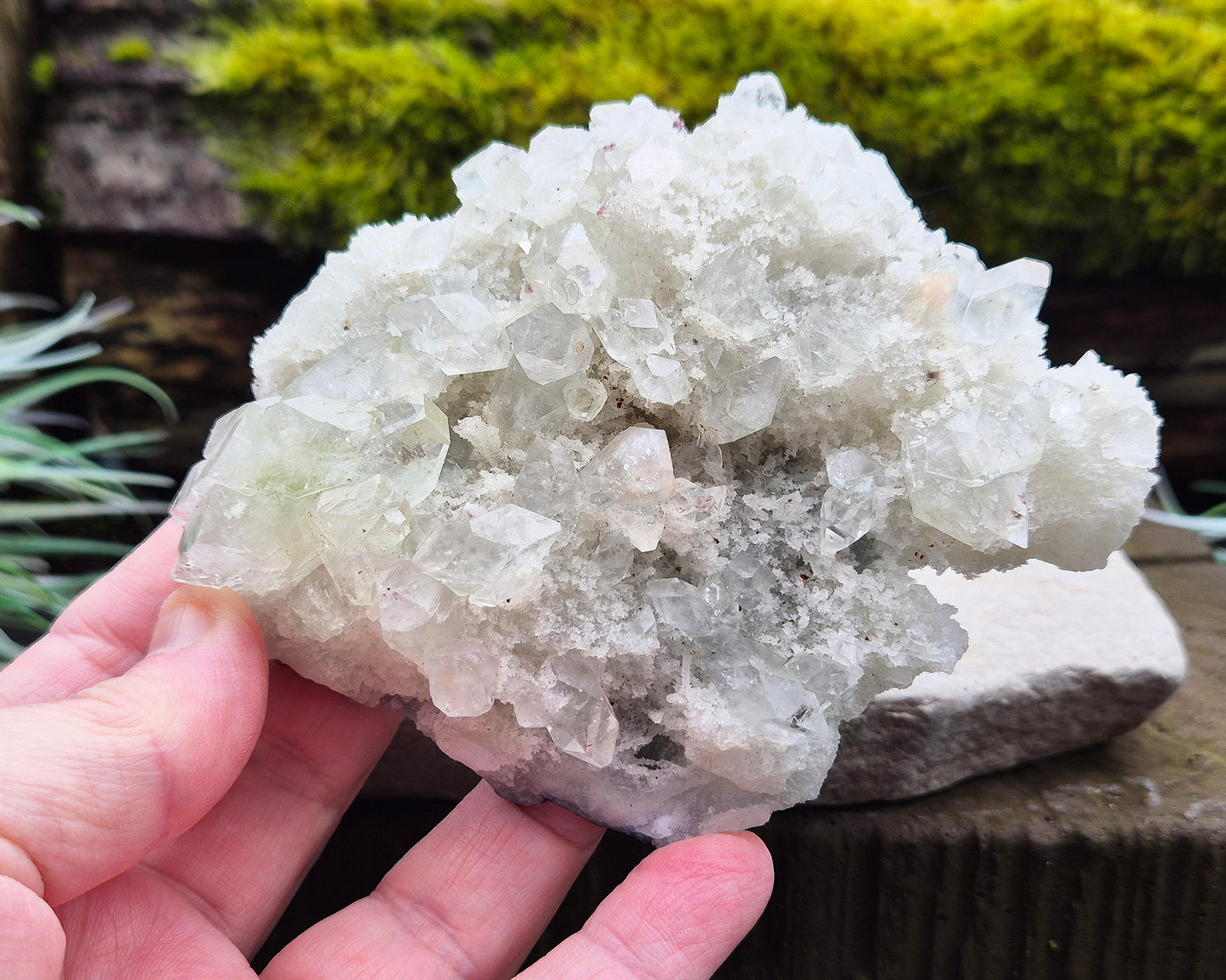 Apophyllite Crystal Cluster from India. Lovely cluster which has some double terminated apophyllite crystals on it, the largest of which has a hint of green within it.