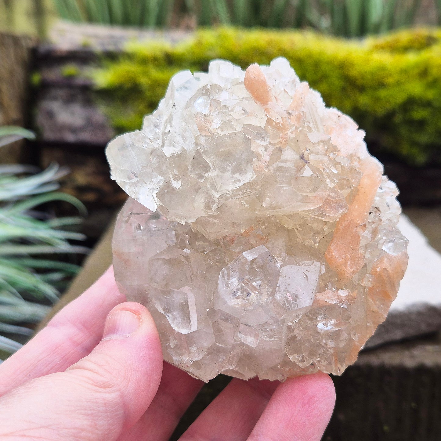 Apophyllite Crystal Cluster – A High-Vibrational Crystal for Focus, Balance & a Harmonious Space