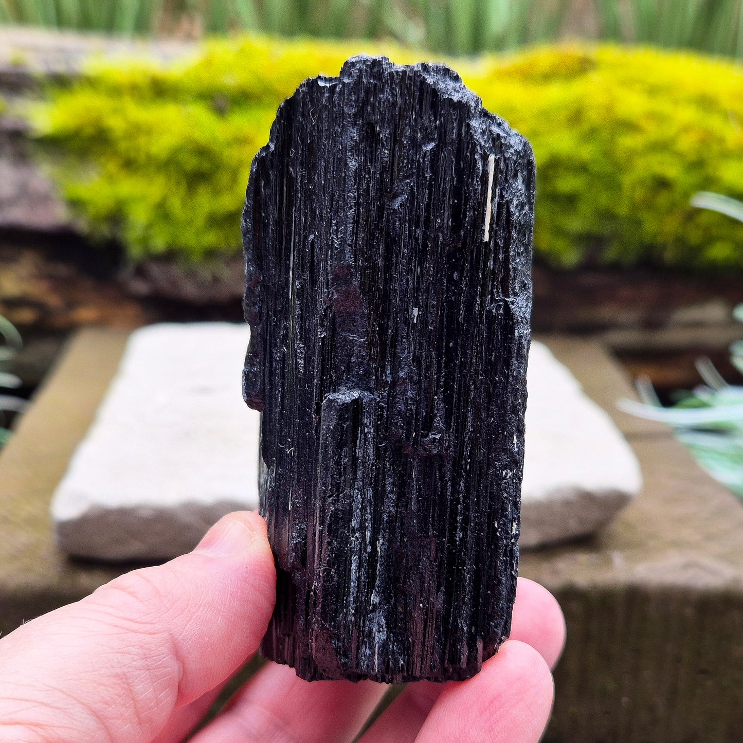 Black Tourmaline Crystal, Natural, represents Grounding, Stability & Encouraging a Balanced Mindset