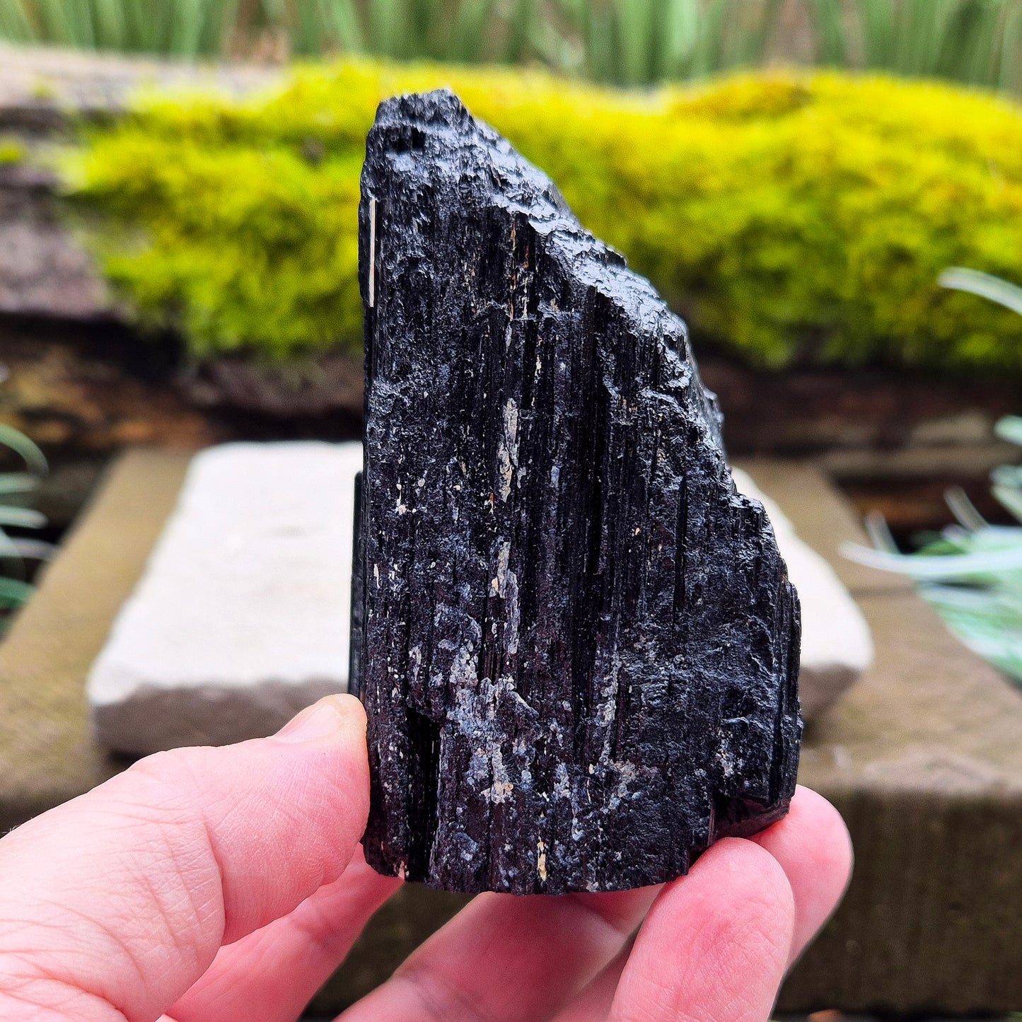 Black Tourmaline Crystal, Natural, represents Grounding, Stability & Encouraging a Balanced Mindset