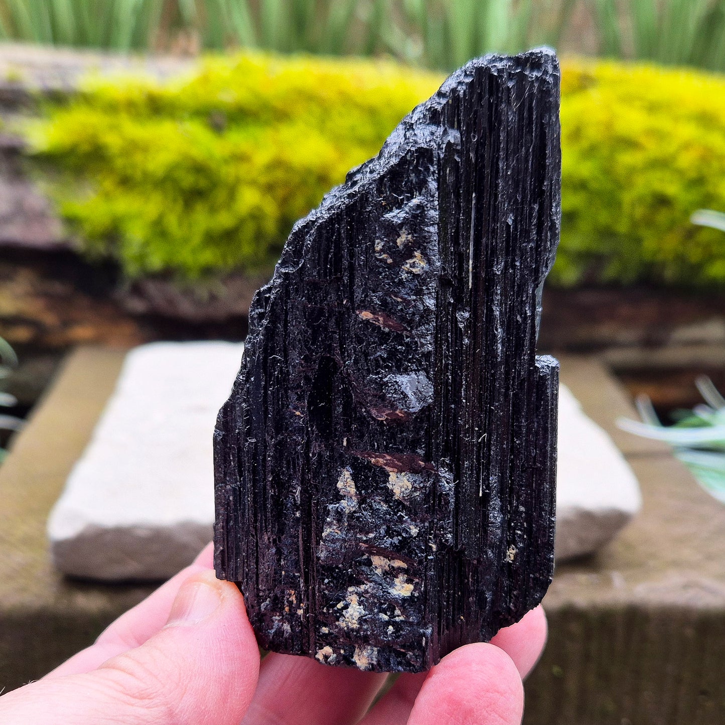 Black Tourmaline Crystal, Natural, represents Grounding, Stability & Encouraging a Balanced Mindset