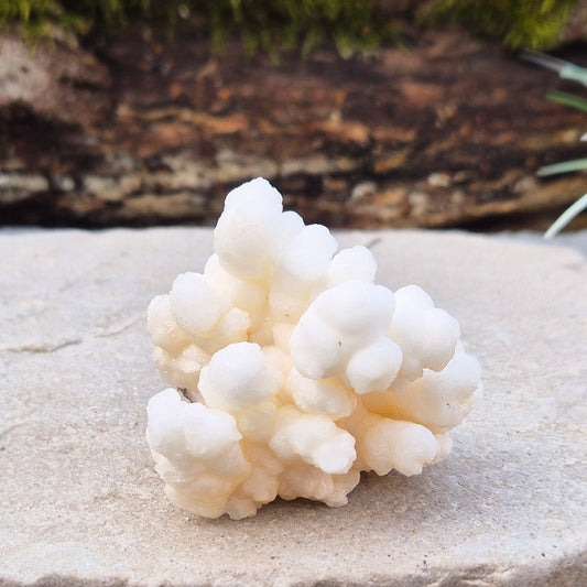 Cave Calcite, also known as Cave Popcorn or Coralloid, is actually Aragonite, not Calcite. This stunning mineral forms in caves, mines, and moist limestone-rich areas, 
