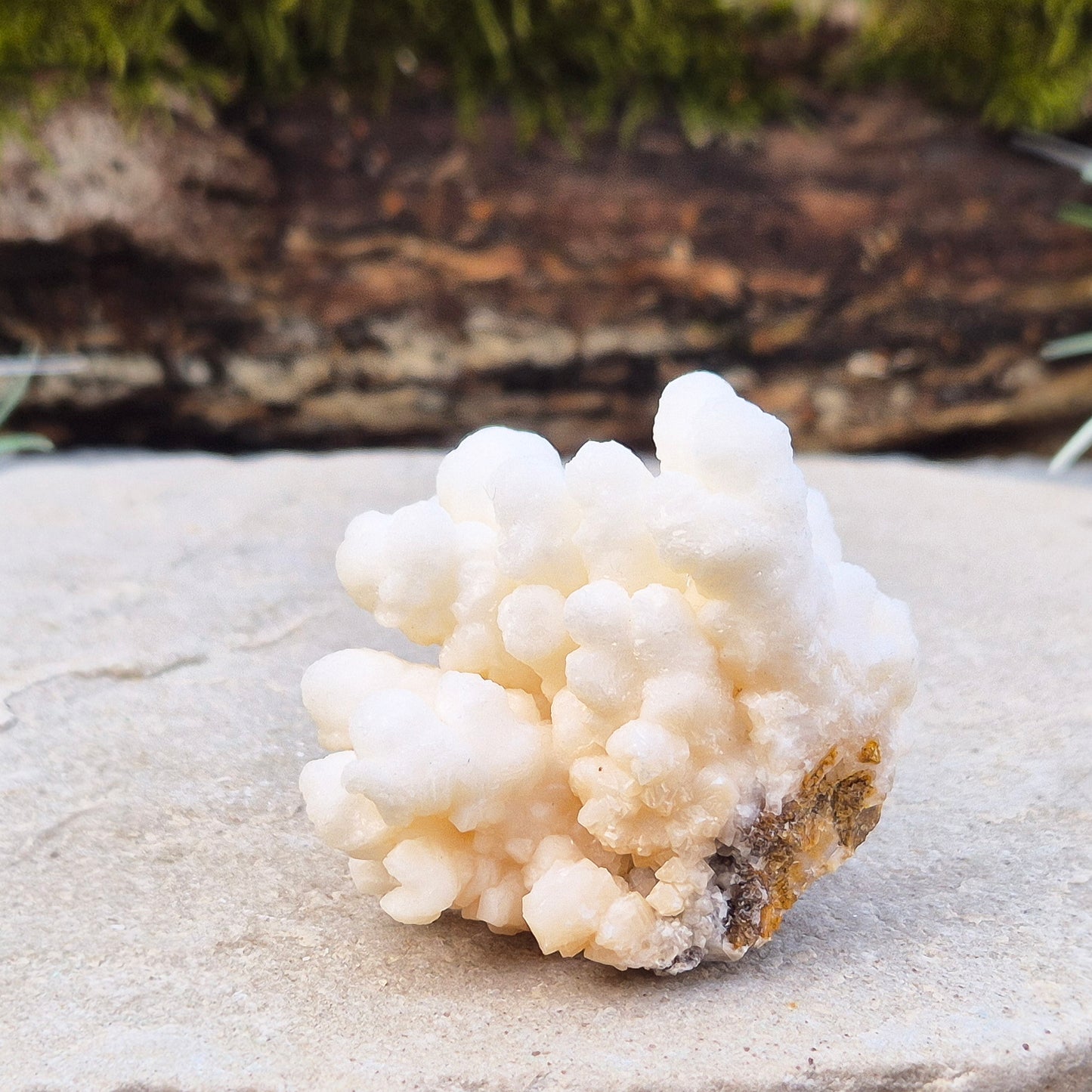Cave Calcite, also known as Cave Popcorn or Coralloid, is actually Aragonite, not Calcite. This stunning mineral forms in caves, mines, and moist limestone-rich areas, 