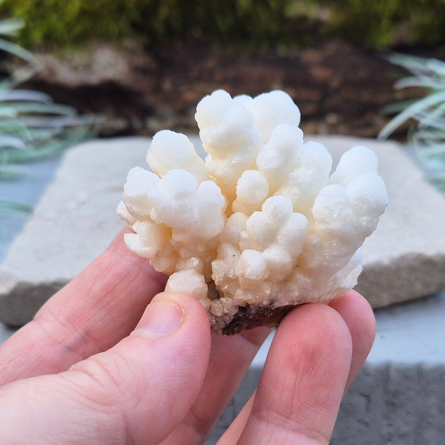 Cave Calcite, Aragonite Crystal | Small Display Piece for Home or Sacred Space