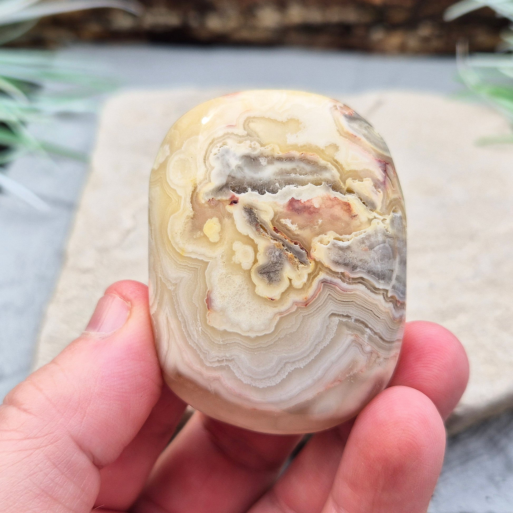 Crazy Lace Agate Crystal Palm Stone from Mexico, also known as Mexican Agate. This beautiful stone is a microcrystalline quartz infused with aluminum and iron, featuring a range of colors including rust red, orange, grey, brown, yellow, cream, and white.