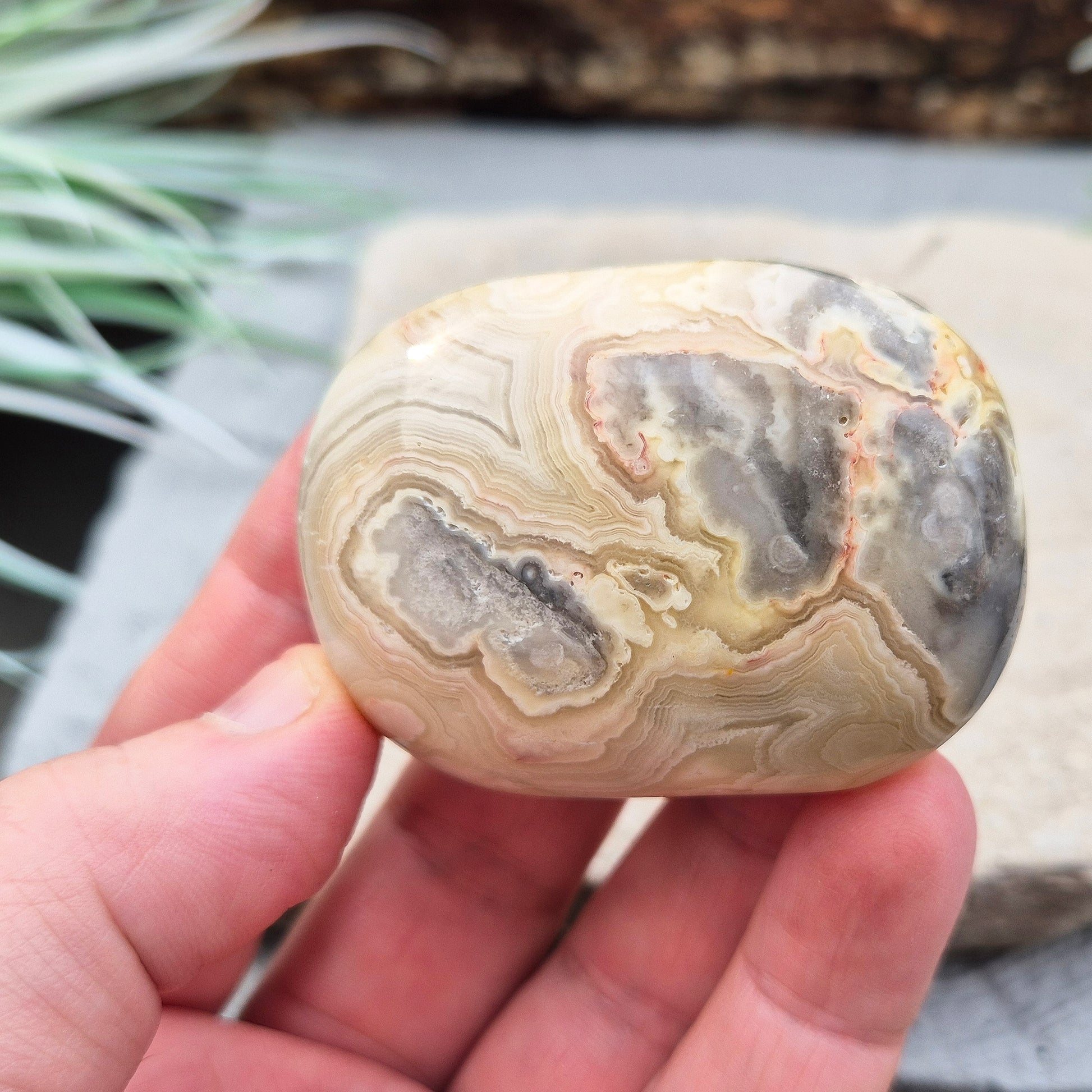 Crazy Lace Agate Crystal Palm Stone from Mexico, also known as Mexican Agate. This beautiful stone is a microcrystalline quartz infused with aluminum and iron, featuring a range of colors including rust red, orange, grey, brown, yellow, cream, and white.