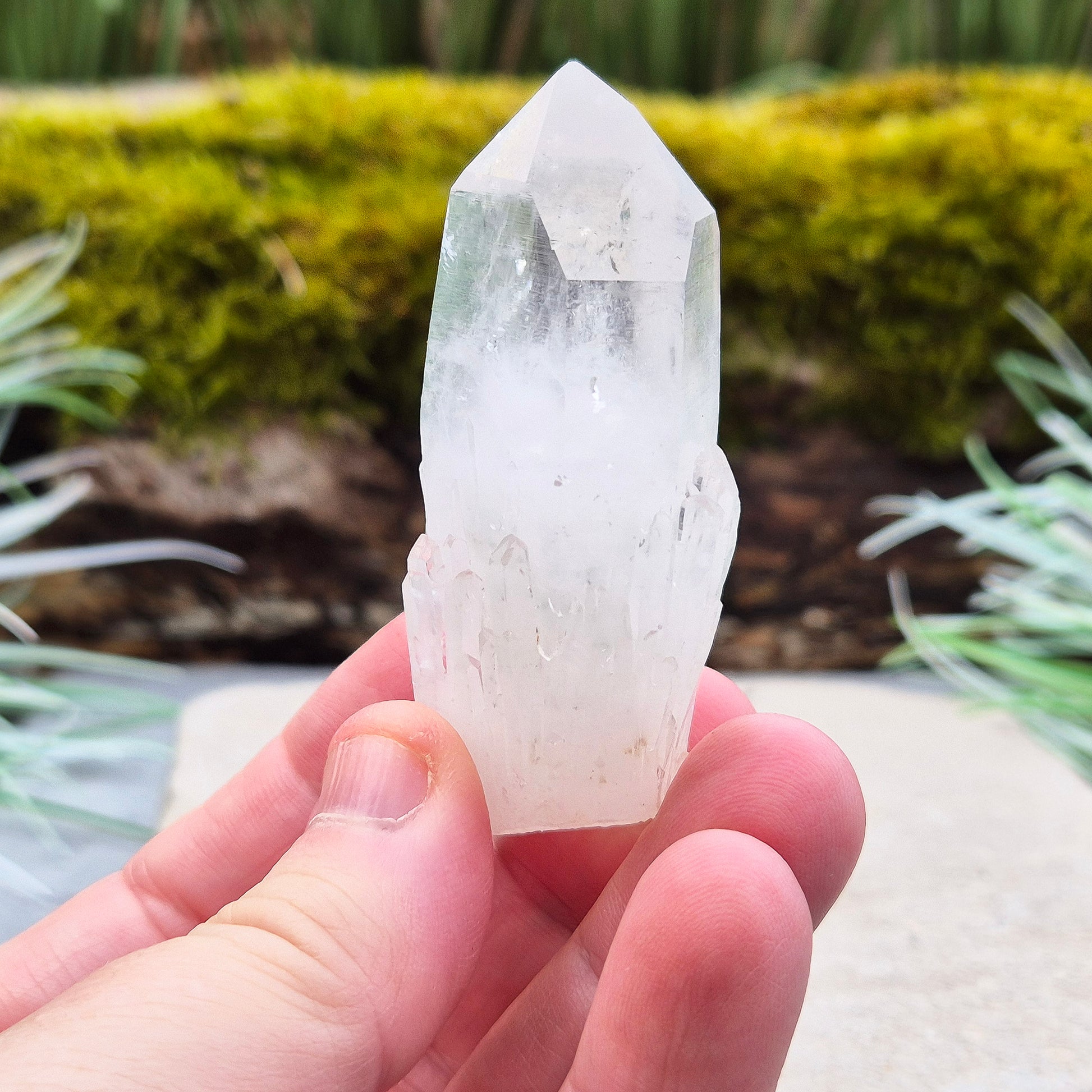 Quartz Crystal Point. From Atlas Mountains, Morocco. This is a wonderful natural quartz point with lots of companion crystals growing around it, very much like the formations you get on Pineapple Quartz.