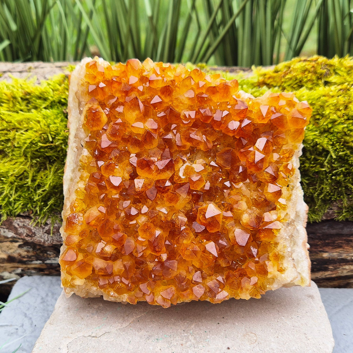 This beautiful Citrine Cluster from Brazil features mid-tone orange coloring and a flat base, perfect for use as a decorative statement piece or for energy work. Its natural formation radiates positivity and energy, making it an ideal addition to any space.