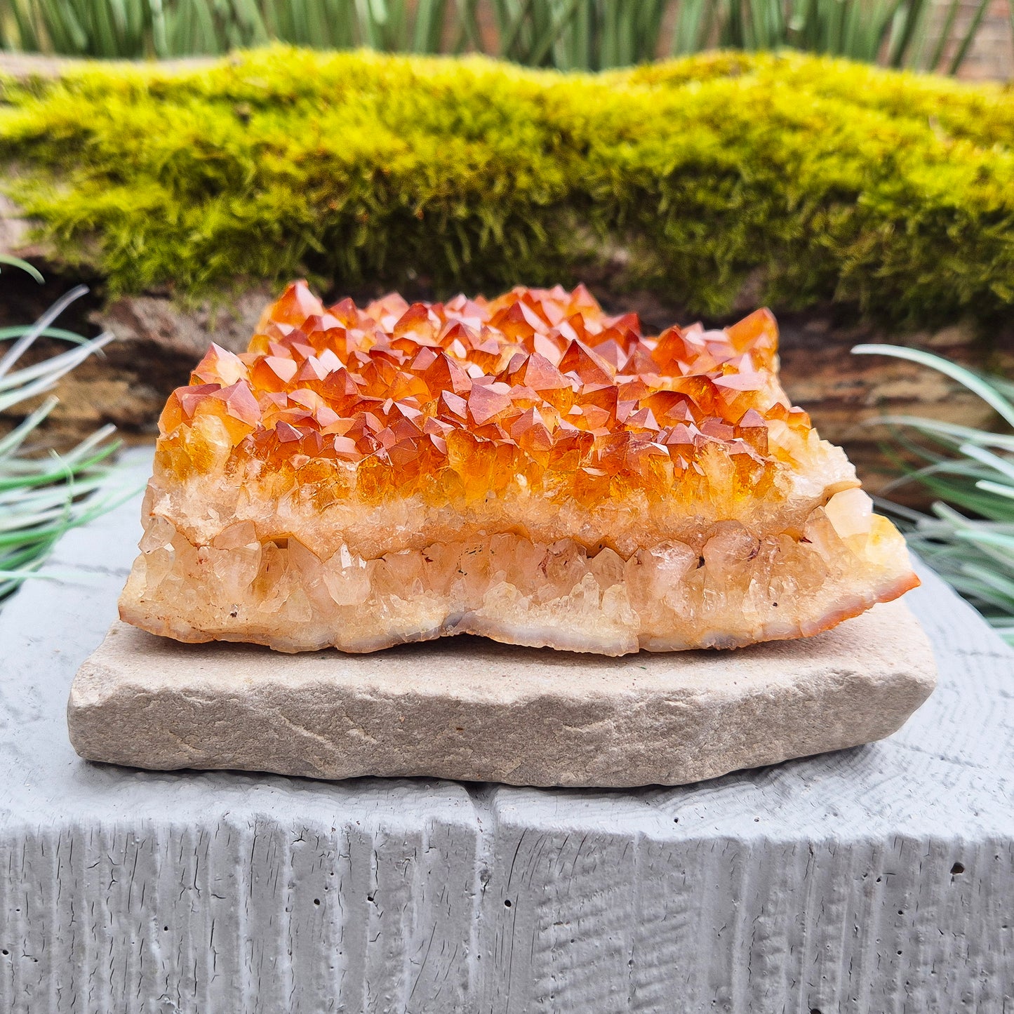 This beautiful Citrine Cluster from Brazil features mid-tone orange coloring and a flat base, perfect for use as a decorative statement piece or for energy work. Its natural formation radiates positivity and energy, making it an ideal addition to any space.