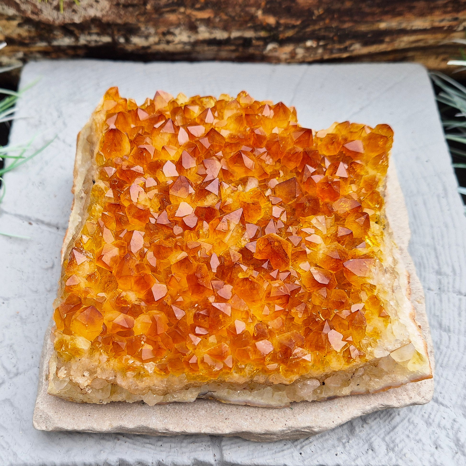 This beautiful Citrine Cluster from Brazil features mid-tone orange coloring and a flat base, perfect for use as a decorative statement piece or for energy work. Its natural formation radiates positivity and energy, making it an ideal addition to any space.