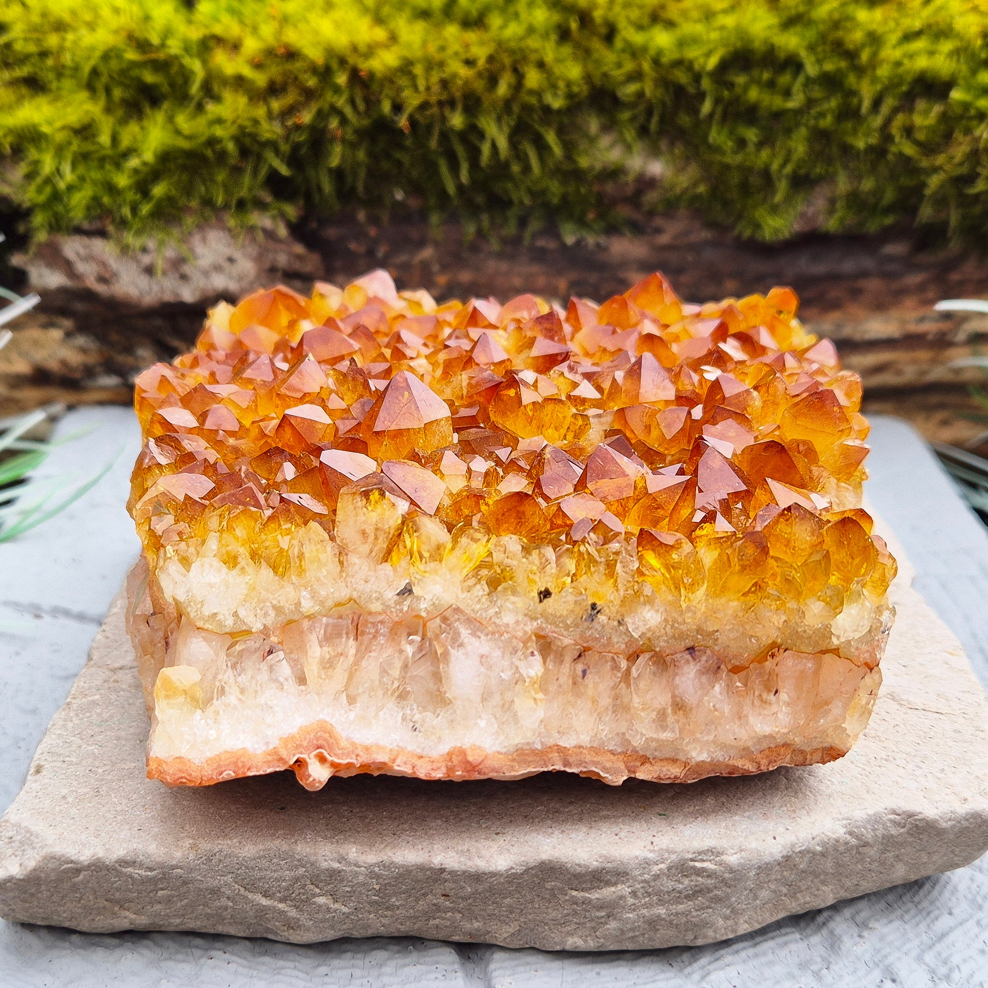 This beautiful Citrine Cluster from Brazil features mid-tone orange coloring and a flat base, perfect for use as a decorative statement piece or for energy work. Its natural formation radiates positivity and energy, making it an ideal addition to any space.