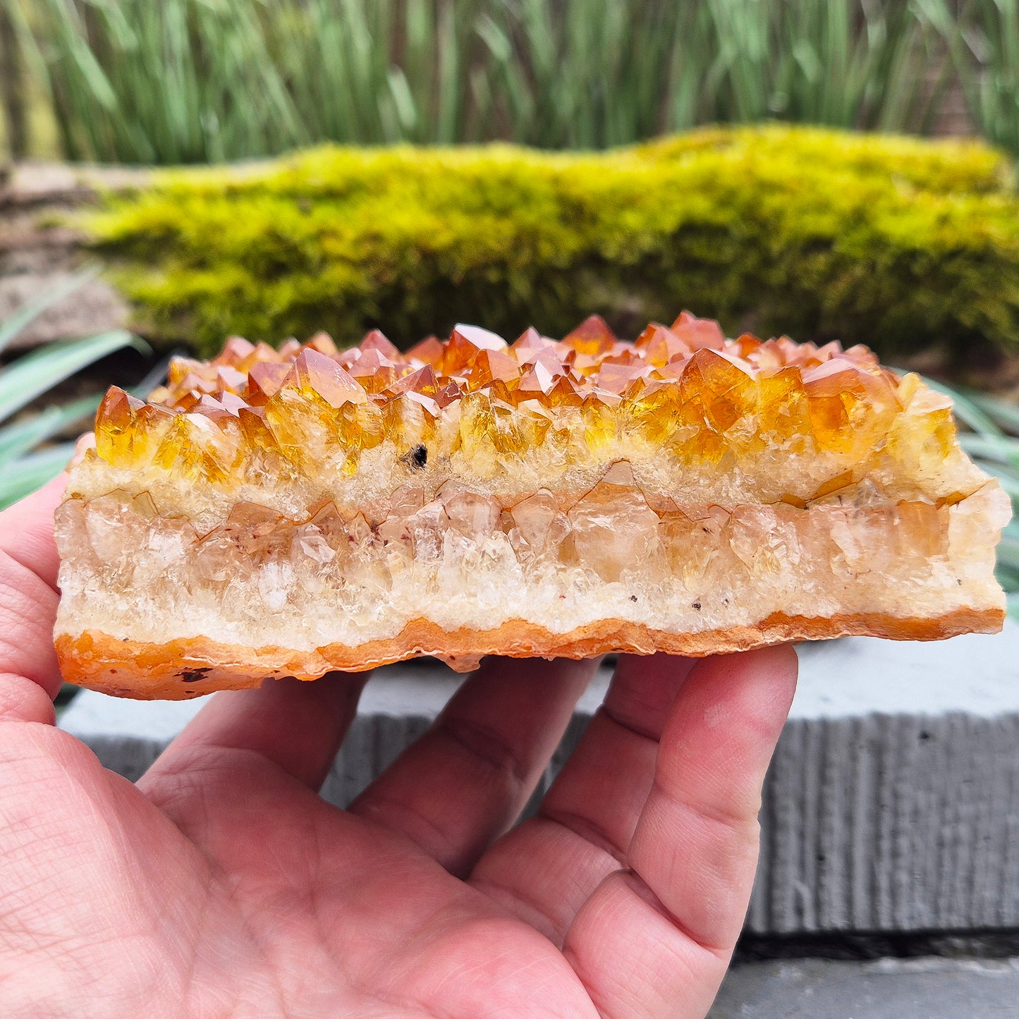Citrine Cluster – Natural Crystal Formation | Statement Piece for Home Décor or Spiritual Space