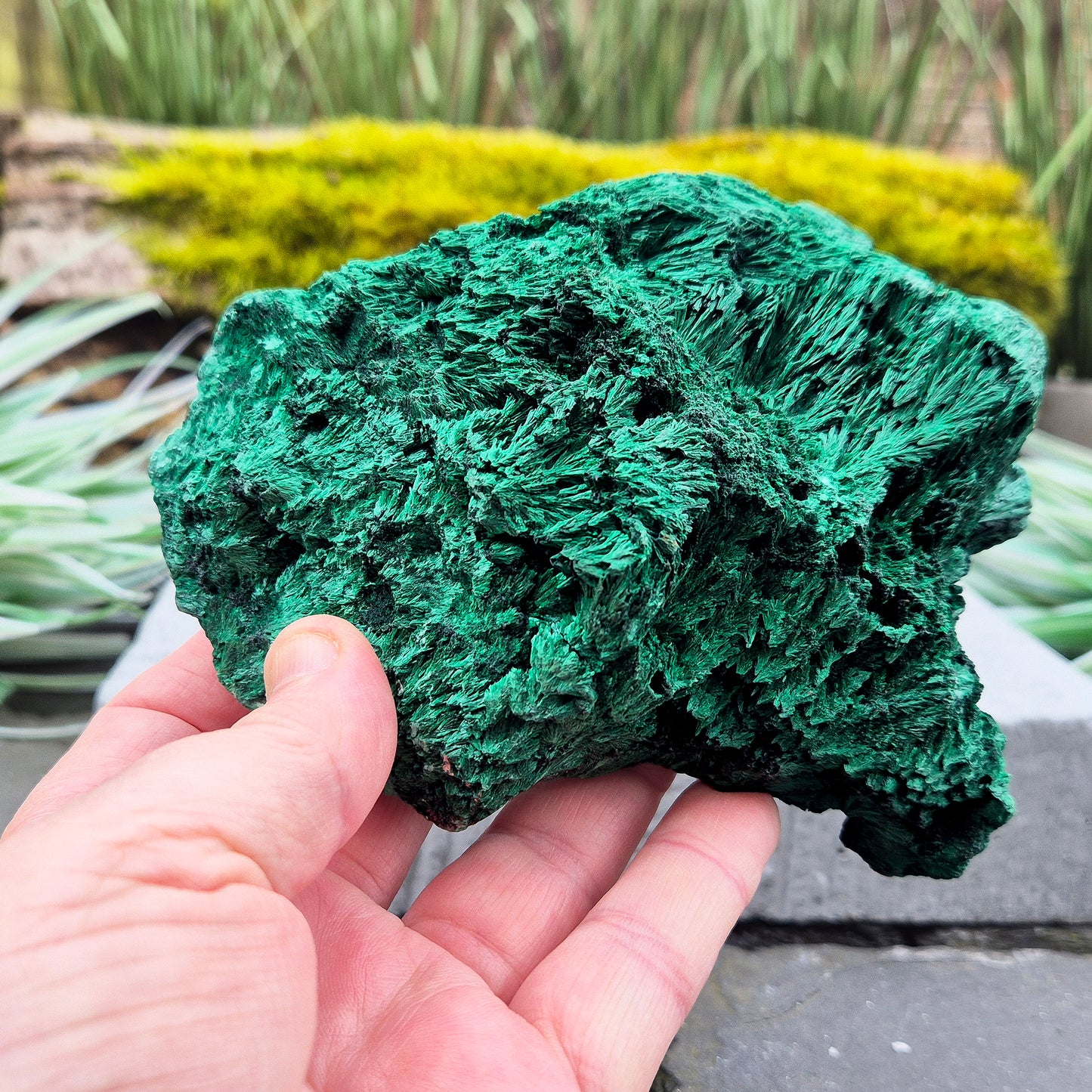 Natural Malachite – rich green hues with a stunning fibrous texture. Promotes transformation, protection, and heart chakra healing. Superb piece!