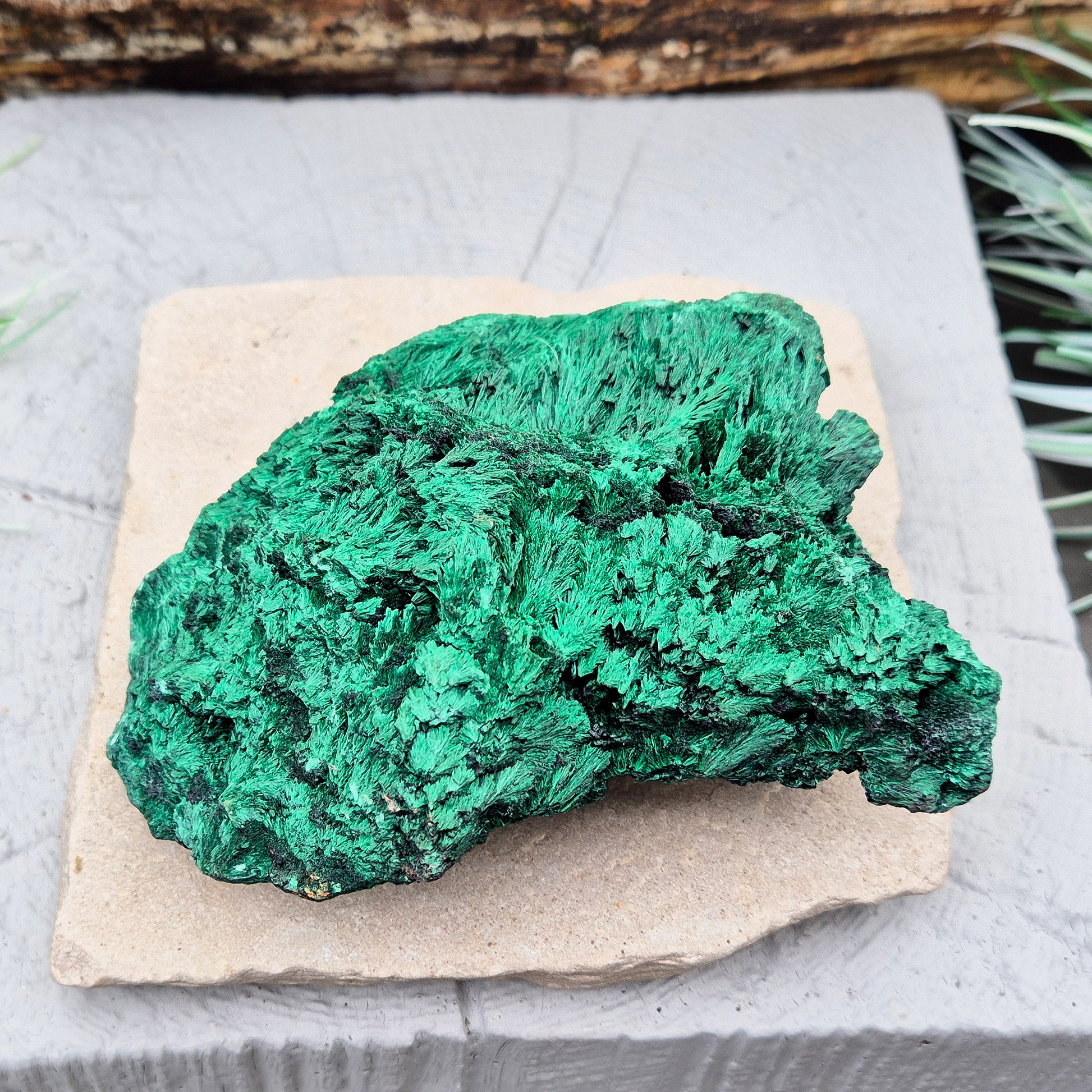 Natural Malachite – rich green hues with a stunning fibrous texture. Promotes transformation, protection, and heart chakra healing. Superb piece!