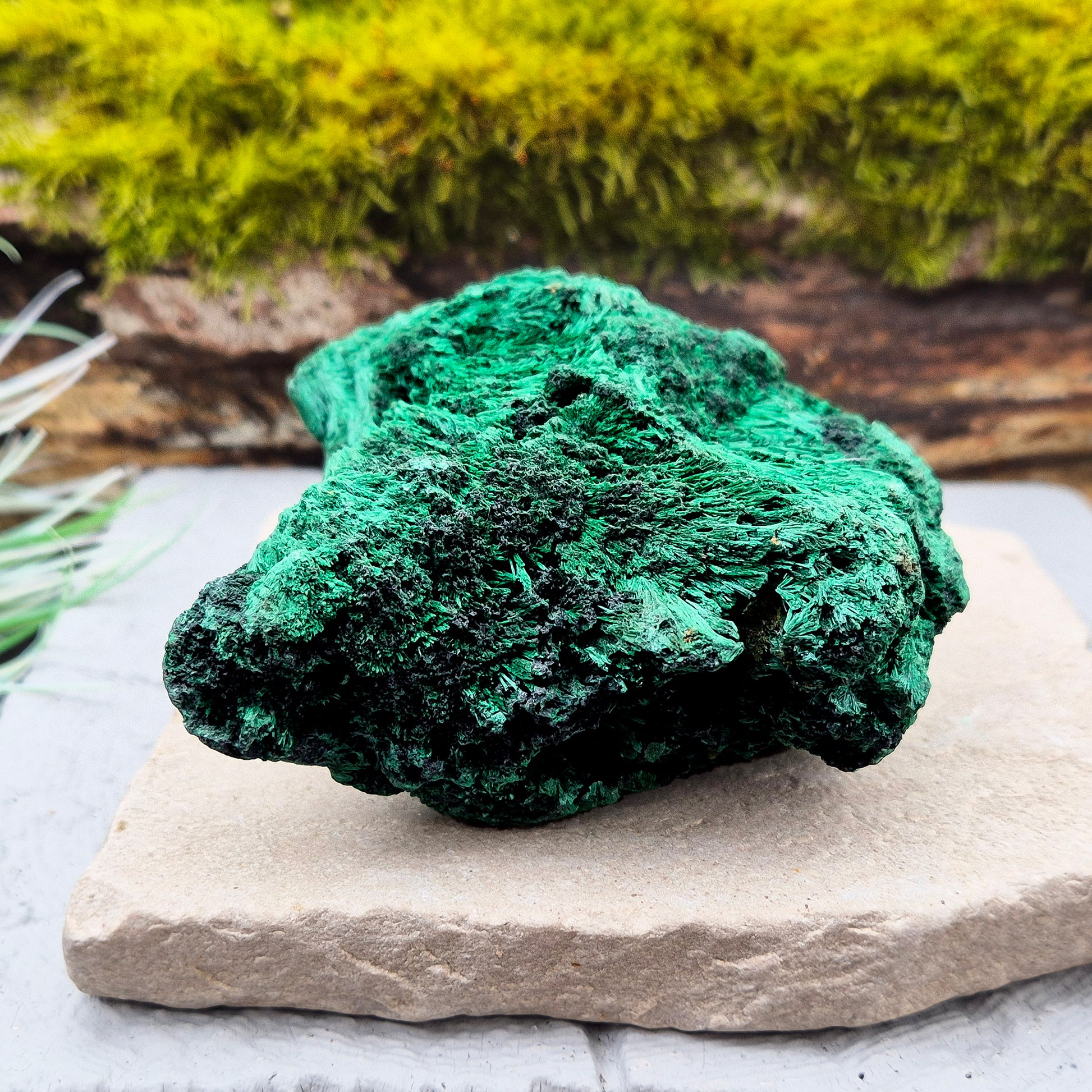 Natural Malachite – rich green hues with a stunning fibrous texture. Promotes transformation, protection, and heart chakra healing. Superb piece!