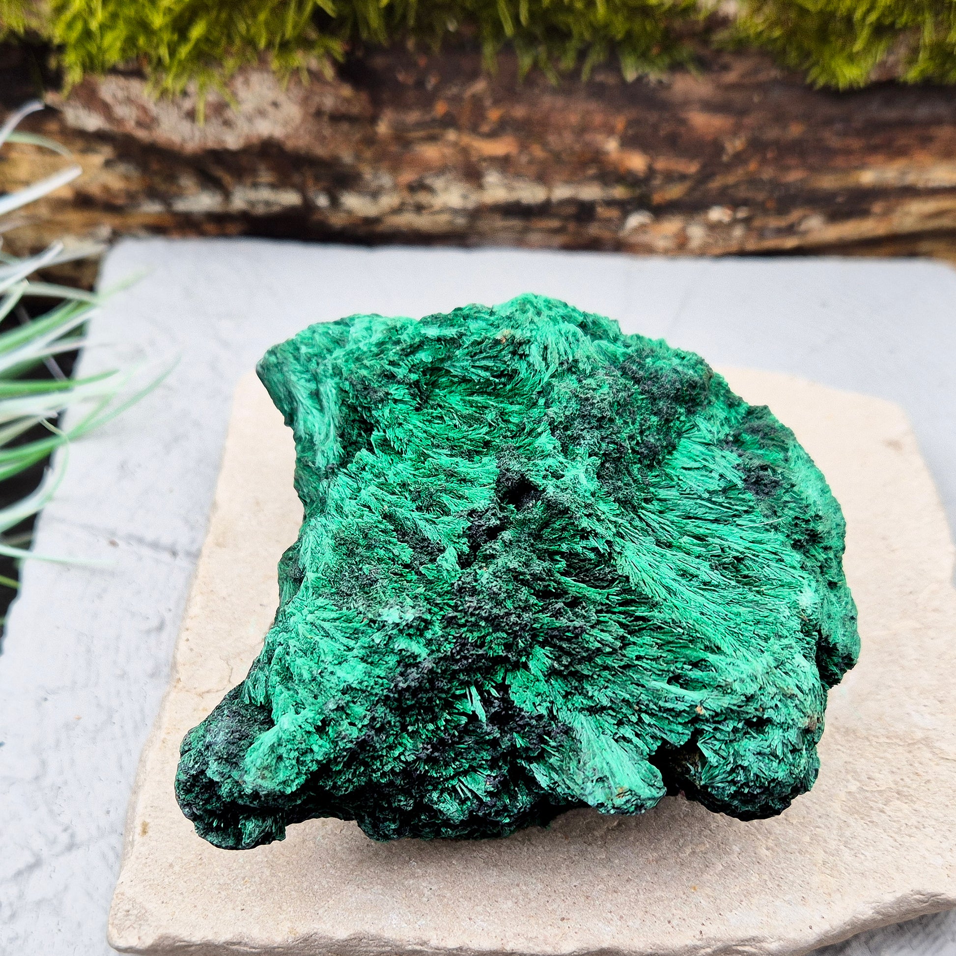 Natural Malachite – rich green hues with a stunning fibrous texture. Promotes transformation, protection, and heart chakra healing. Superb piece!