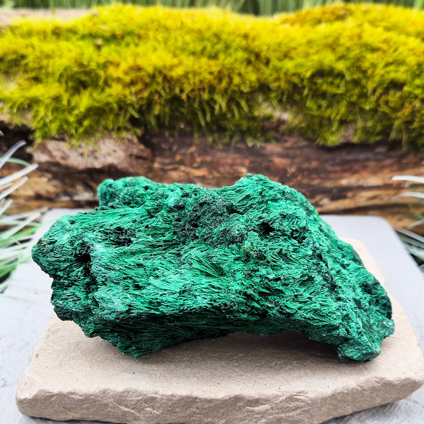 Natural Malachite – rich green hues with a stunning fibrous texture. Promotes transformation, protection, and heart chakra healing. 