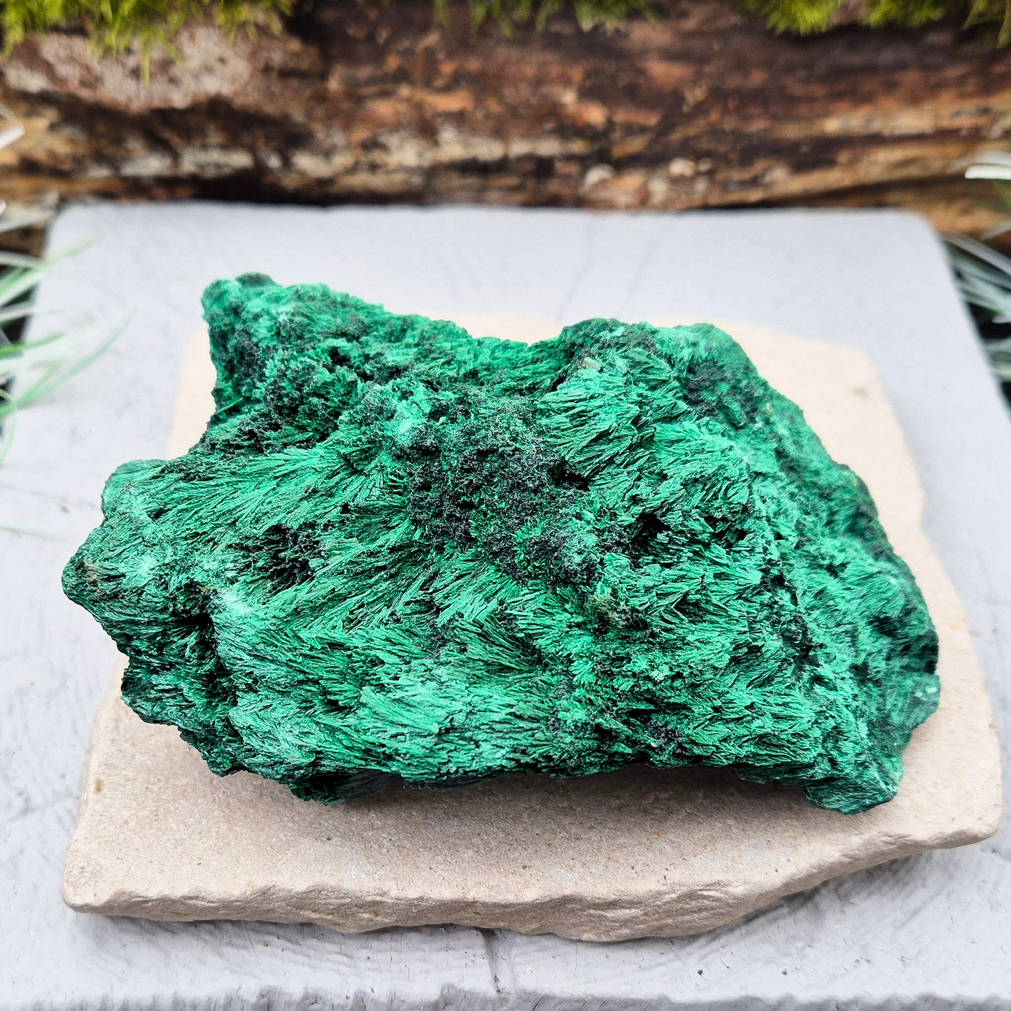 Natural Malachite – rich green hues with a stunning fibrous texture. Promotes transformation, protection, and heart chakra healing. 