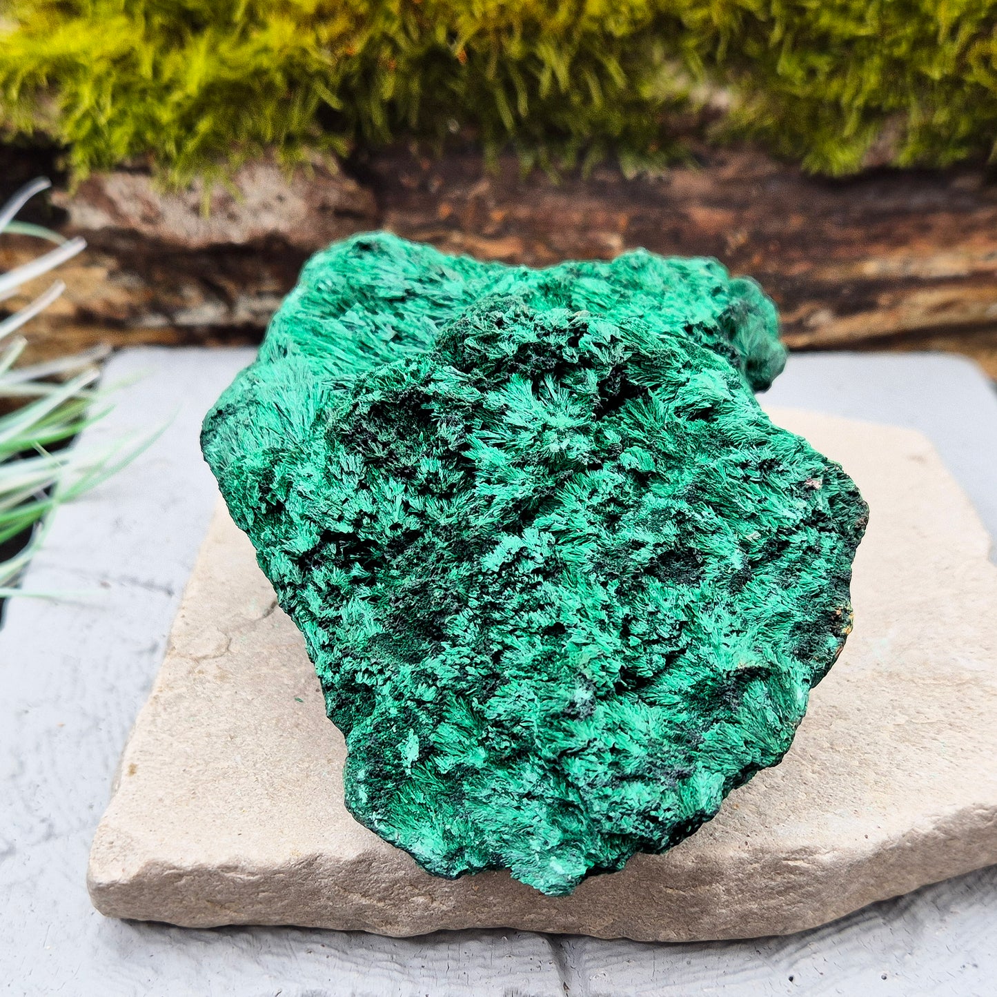 Natural Malachite – rich green hues with a stunning fibrous texture. Promotes transformation, protection, and heart chakra healing. Superb piece!