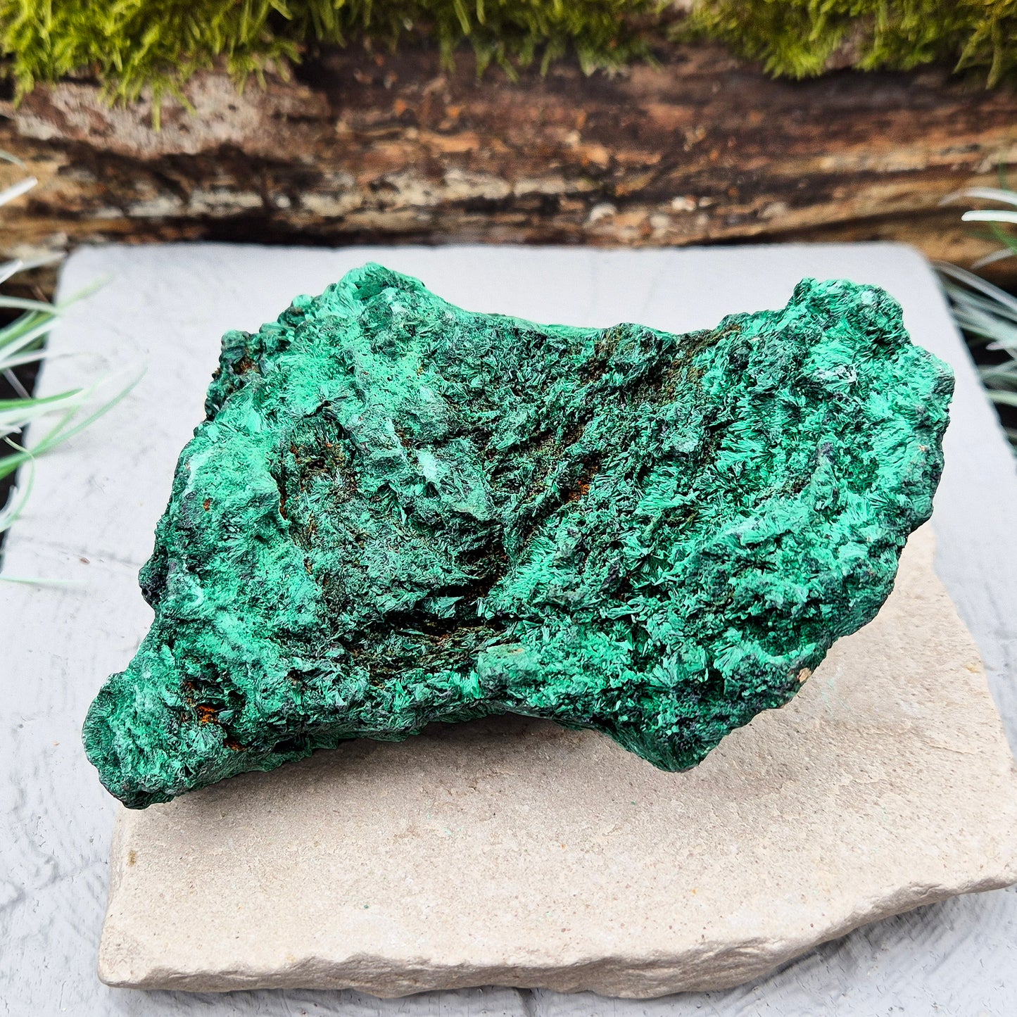 Natural Malachite – rich green hues with a stunning fibrous texture. Promotes transformation, protection, and heart chakra healing. Superb piece!