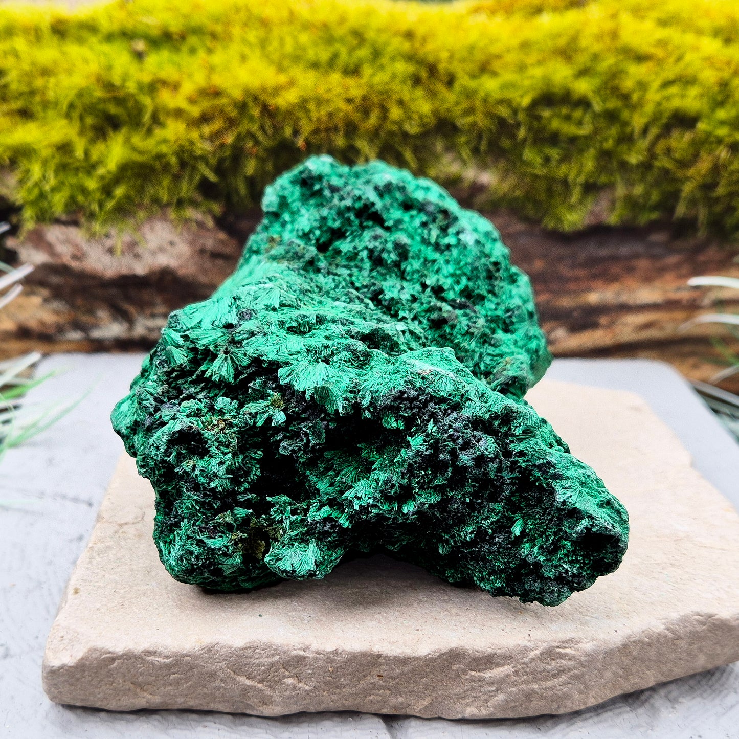 Natural Malachite – rich green hues with a stunning fibrous texture. Promotes transformation, protection, and heart chakra healing. Superb piece!