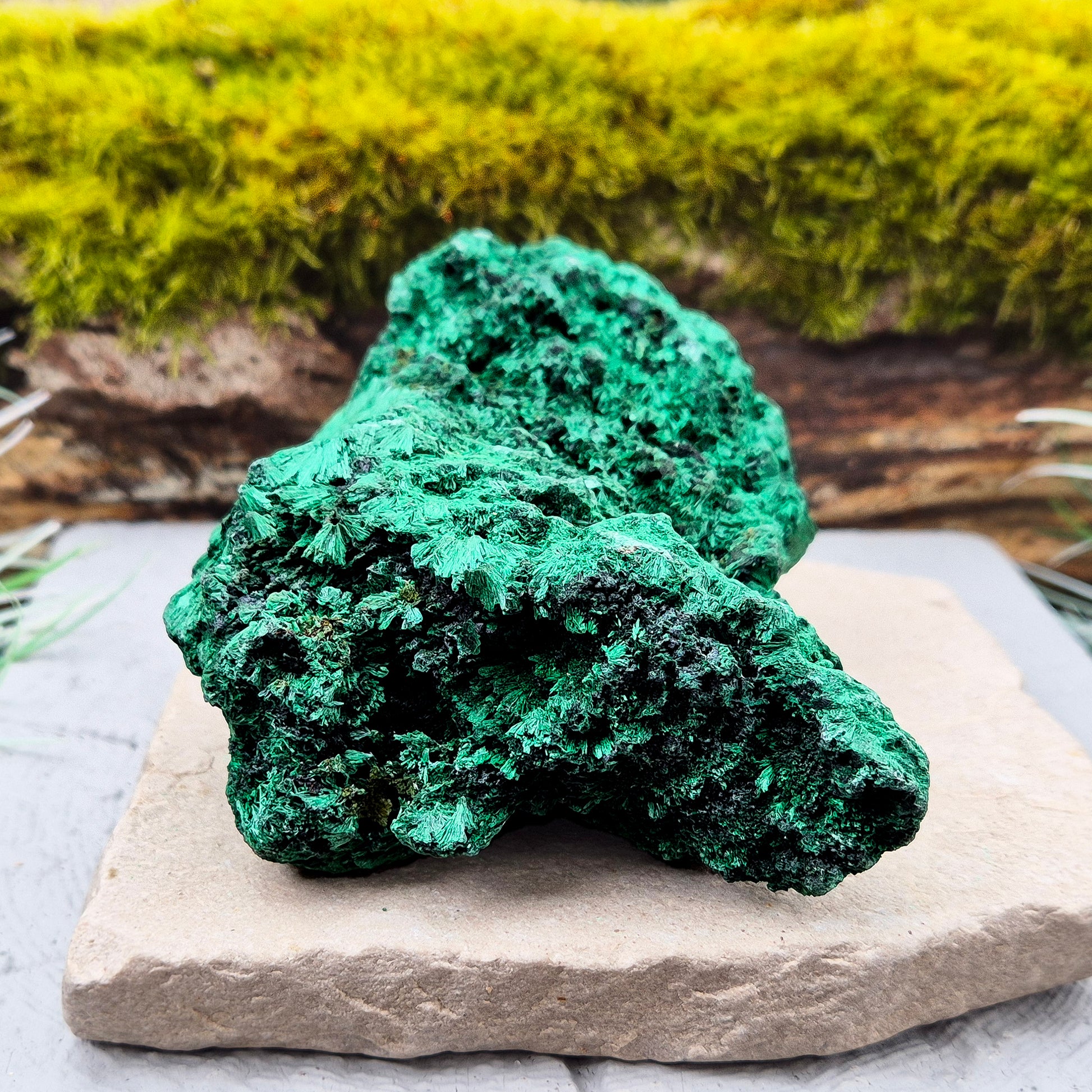Natural Malachite – rich green hues with a stunning fibrous texture. Promotes transformation, protection, and heart chakra healing. Superb piece!