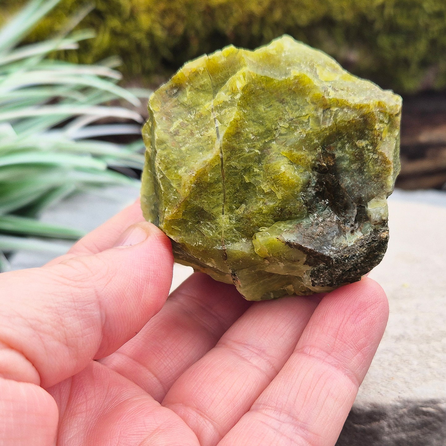 Green Opal, Natural, Supports Peaceful Relationships and Clarity of Mind