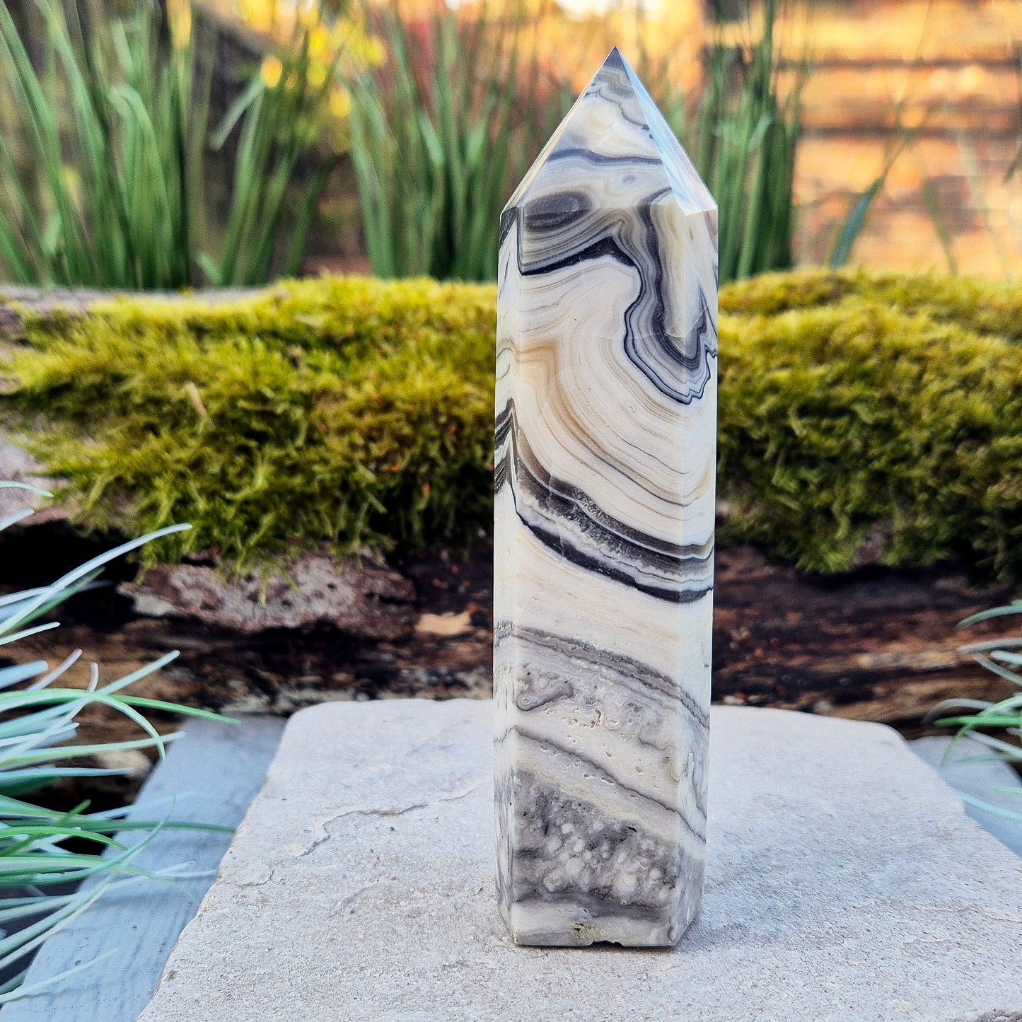 Zebra Calcite Crystal Point from Mexico, also sometimes called Phantom Calcite. This crystal typically forms of orange calcite combined with striped black and white calcite. This point has a 6 sided generator tip.