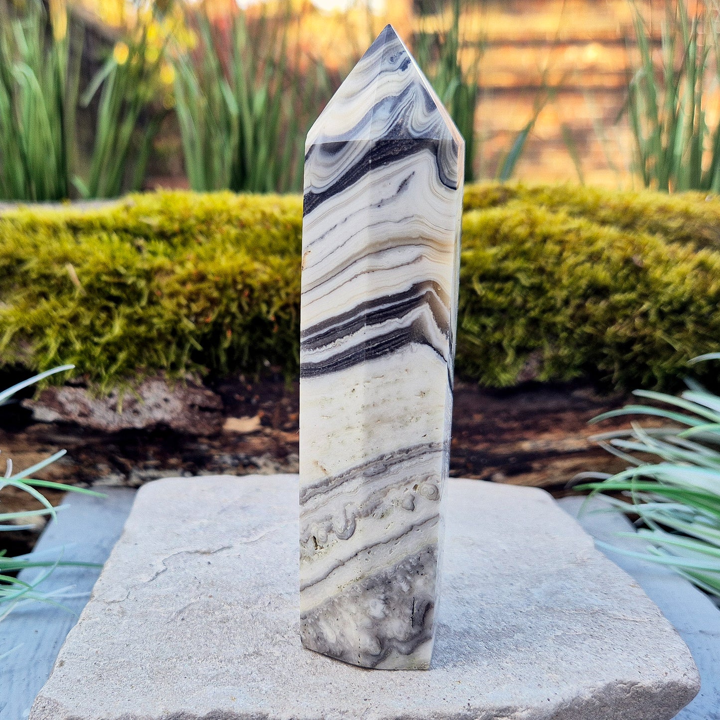 Zebra Calcite Crystal Point from Mexico, also sometimes called Phantom Calcite. This crystal typically forms of orange calcite combined with striped black and white calcite. This point has a 6 sided generator tip.