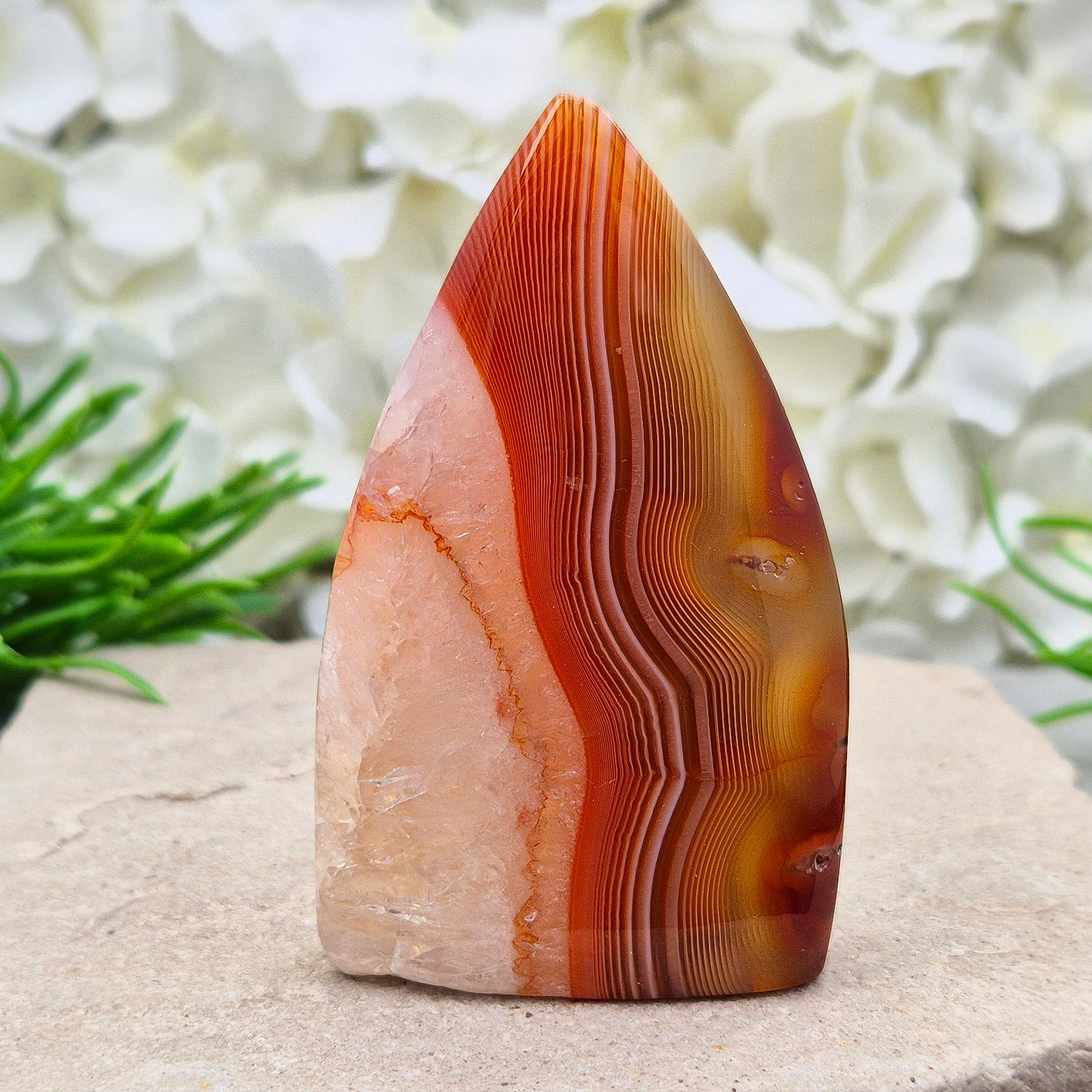 Red Banded Agate Flame with Quartz. This beautiful polished, flame-shaped crystal features bands of red and orange agate alongside quartz.