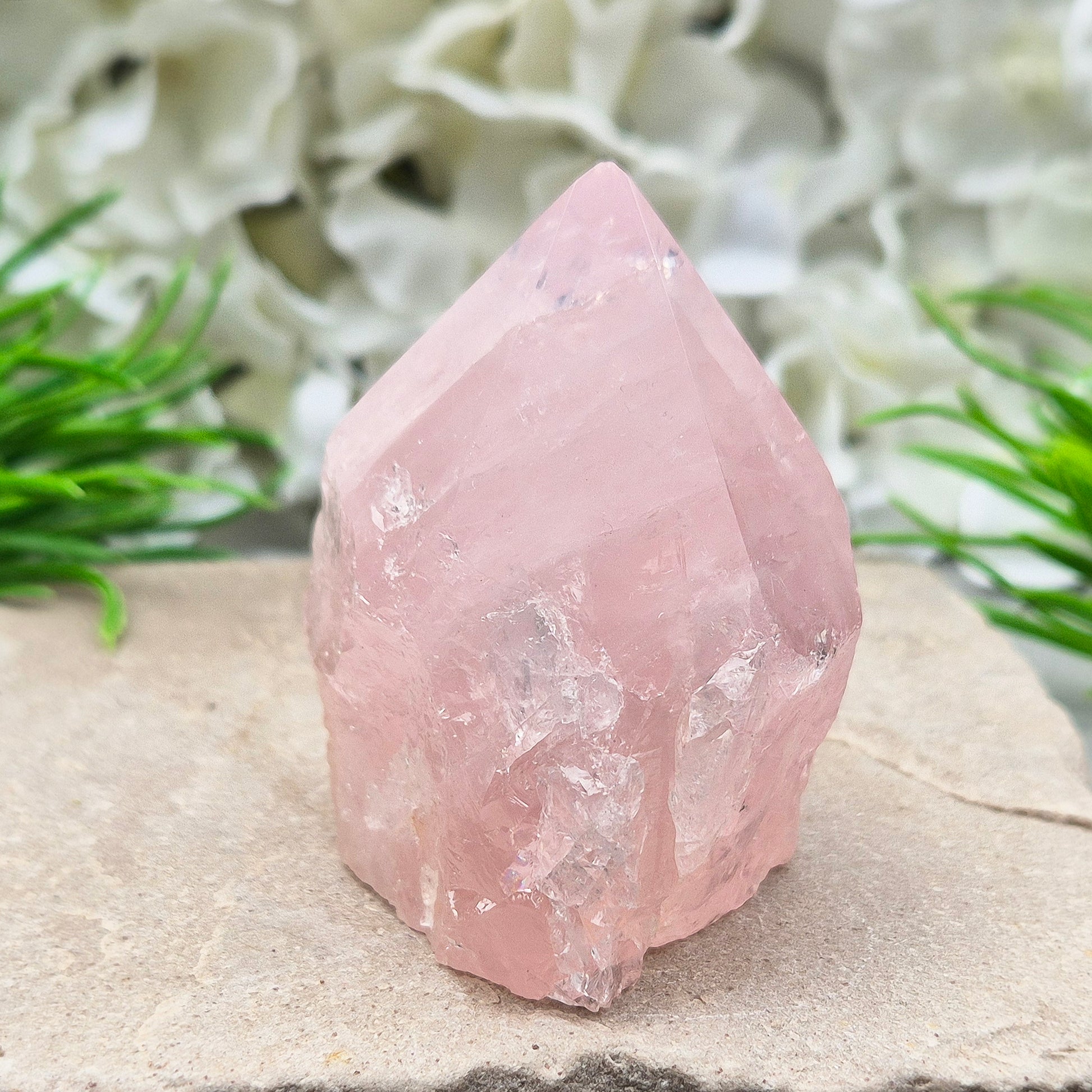 Rose Quartz Crystal Standing Point. This beautiful Rose Quartz standing point comes from Brazil and features a soft, pale pink hue. The polished point and flat, polished base give it a clean, elegant look, while the rest of the crystal remains in its natural form. 