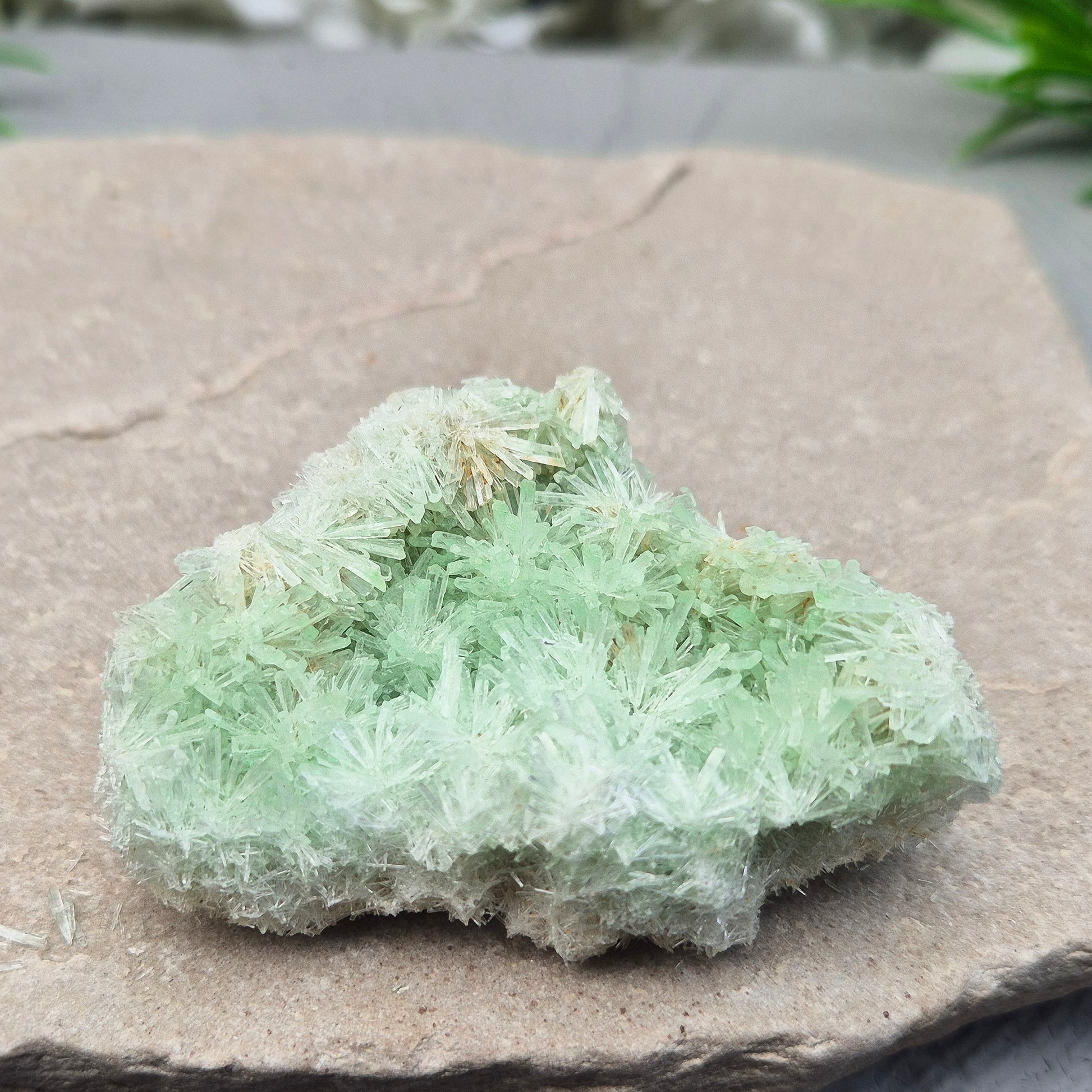Rare Green Gypsum clusters from Southern Australia. Gentle energy for emotional healing, calm, and kindness. Perfect for meditation and quiet moments.