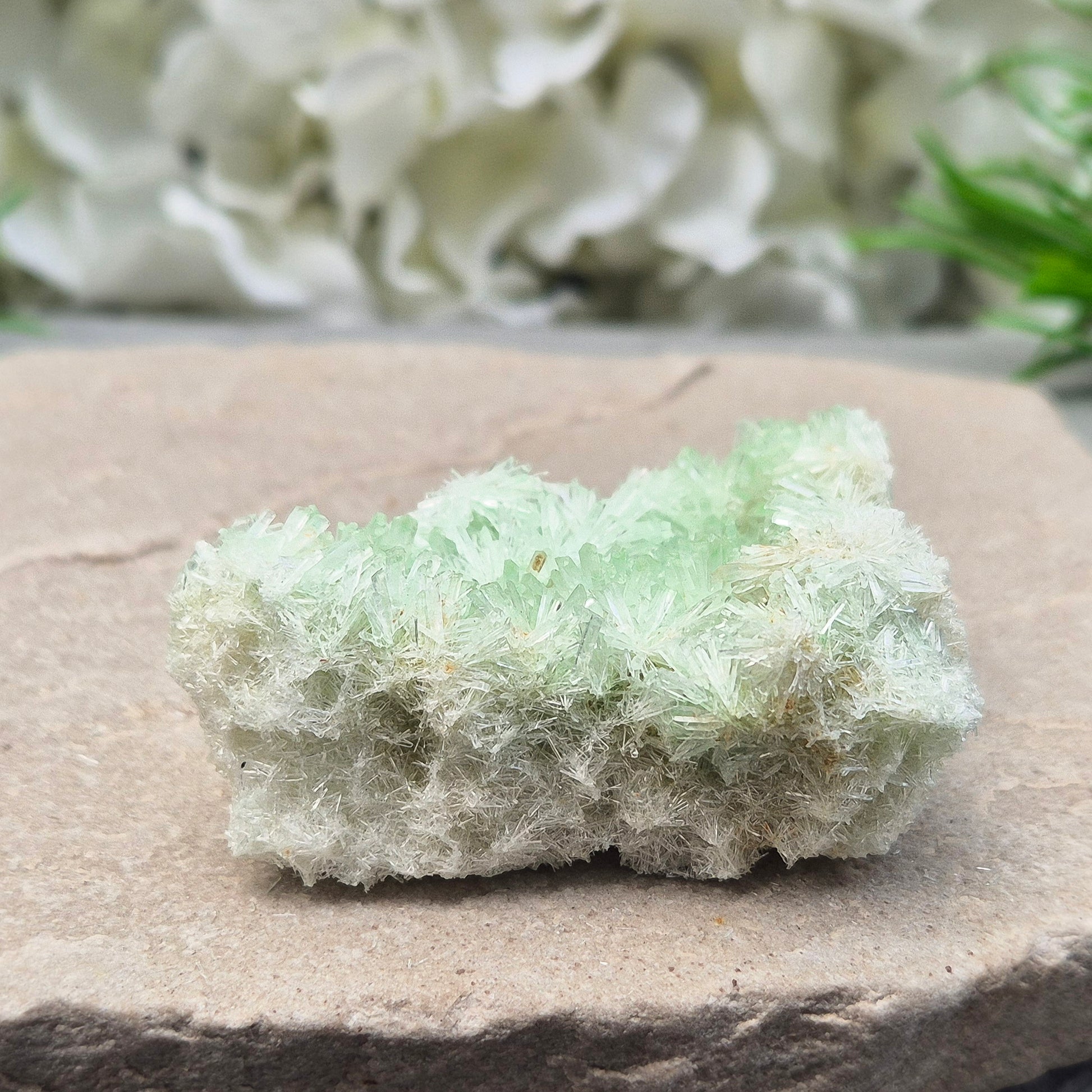 Rare Green Gypsum clusters from Southern Australia. Gentle energy for emotional healing, calm, and kindness. Perfect for meditation and quiet moments.
