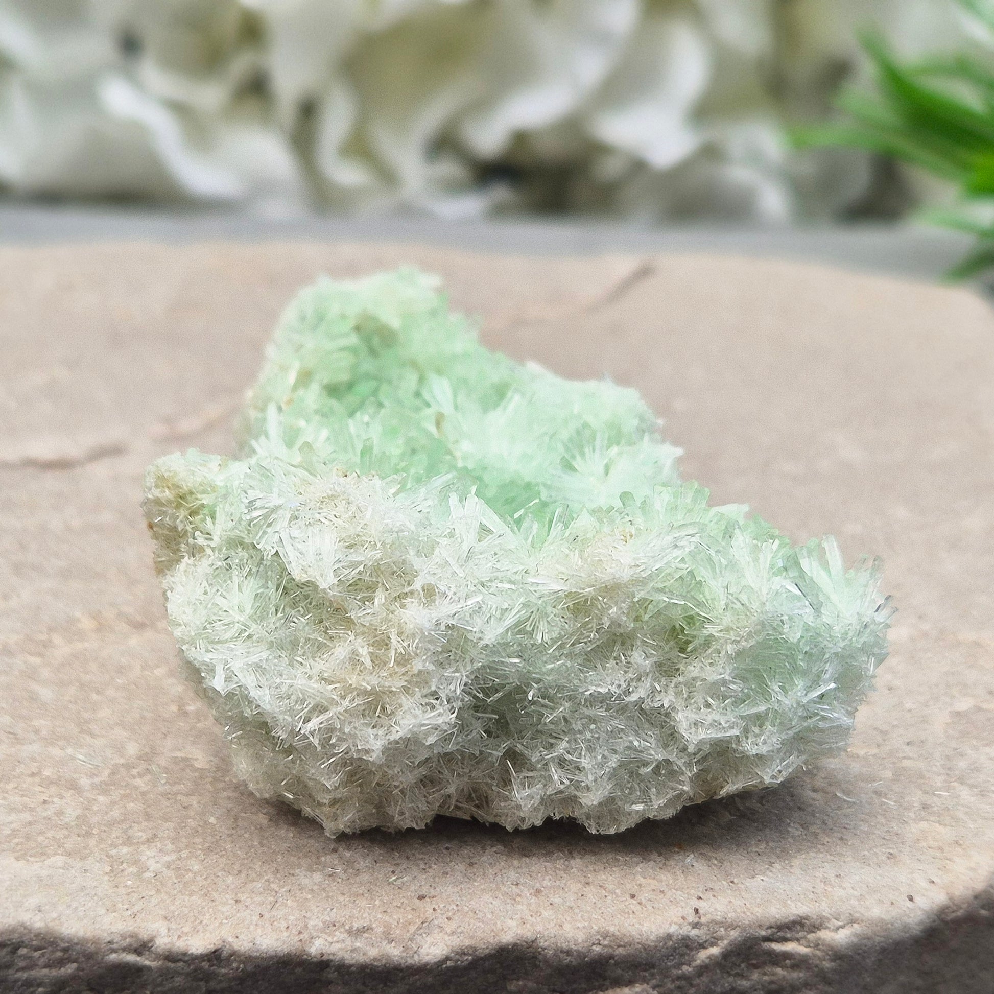 Rare Green Gypsum clusters from Southern Australia. Gentle energy for emotional healing, calm, and kindness. Perfect for meditation and quiet moments.