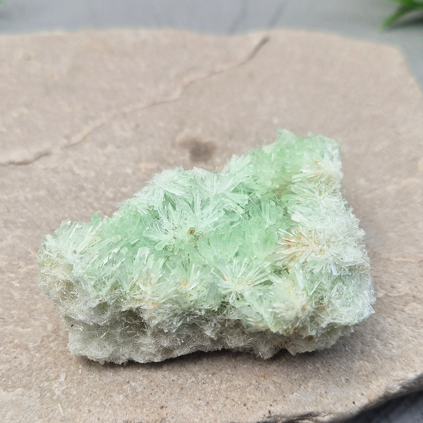 Green Gypsum Cluster – Rare, Natural | Gentle Crystal for Peace & Emotional Balance | Crystal Collectible
