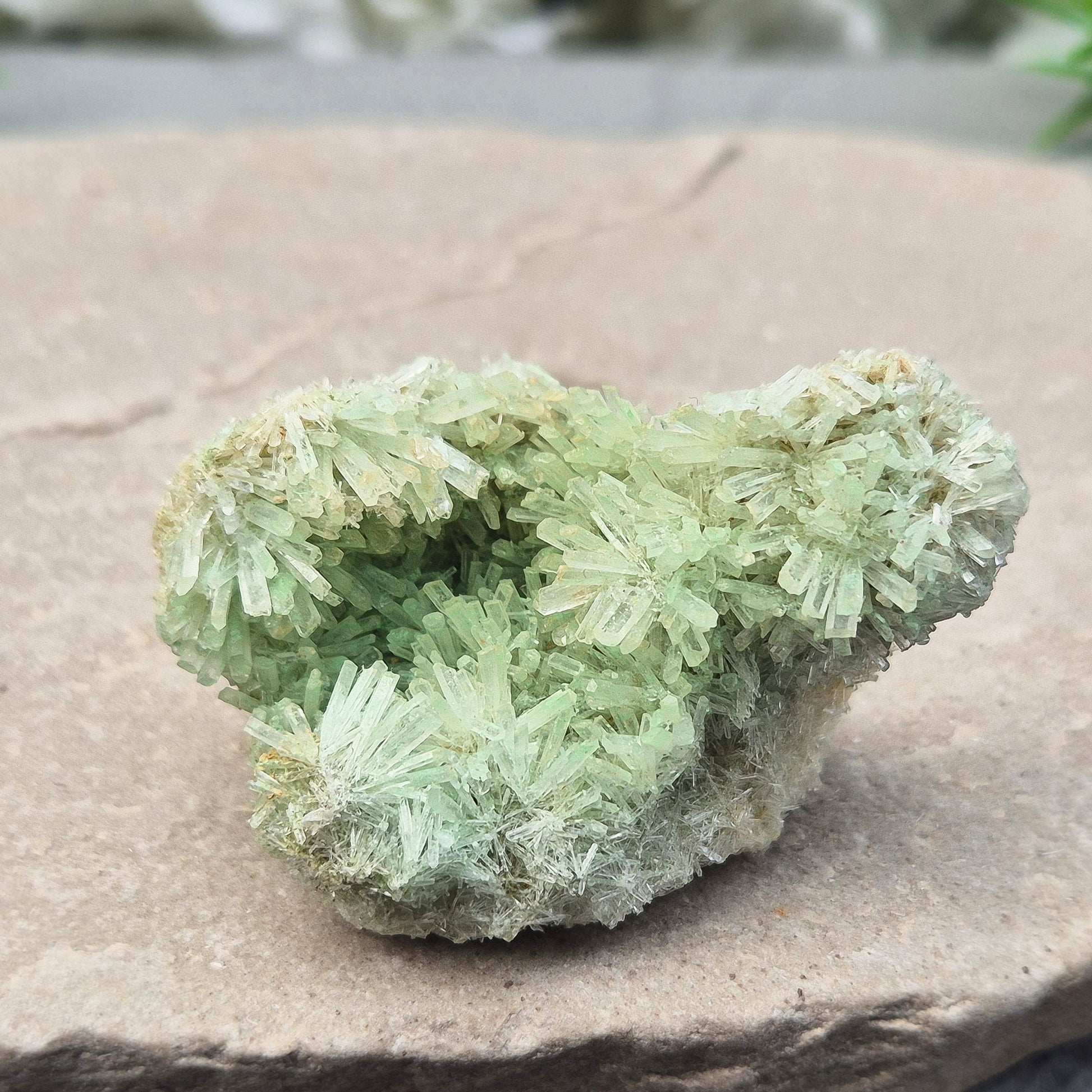 This rare Green Gypsum Cluster comes from Southern Australia. It features delicate needle-like crystals in pale green and white sprays. These clusters are uncommon and highly collectible, this cluster brings a soft yet powerful energy to any space or collection.