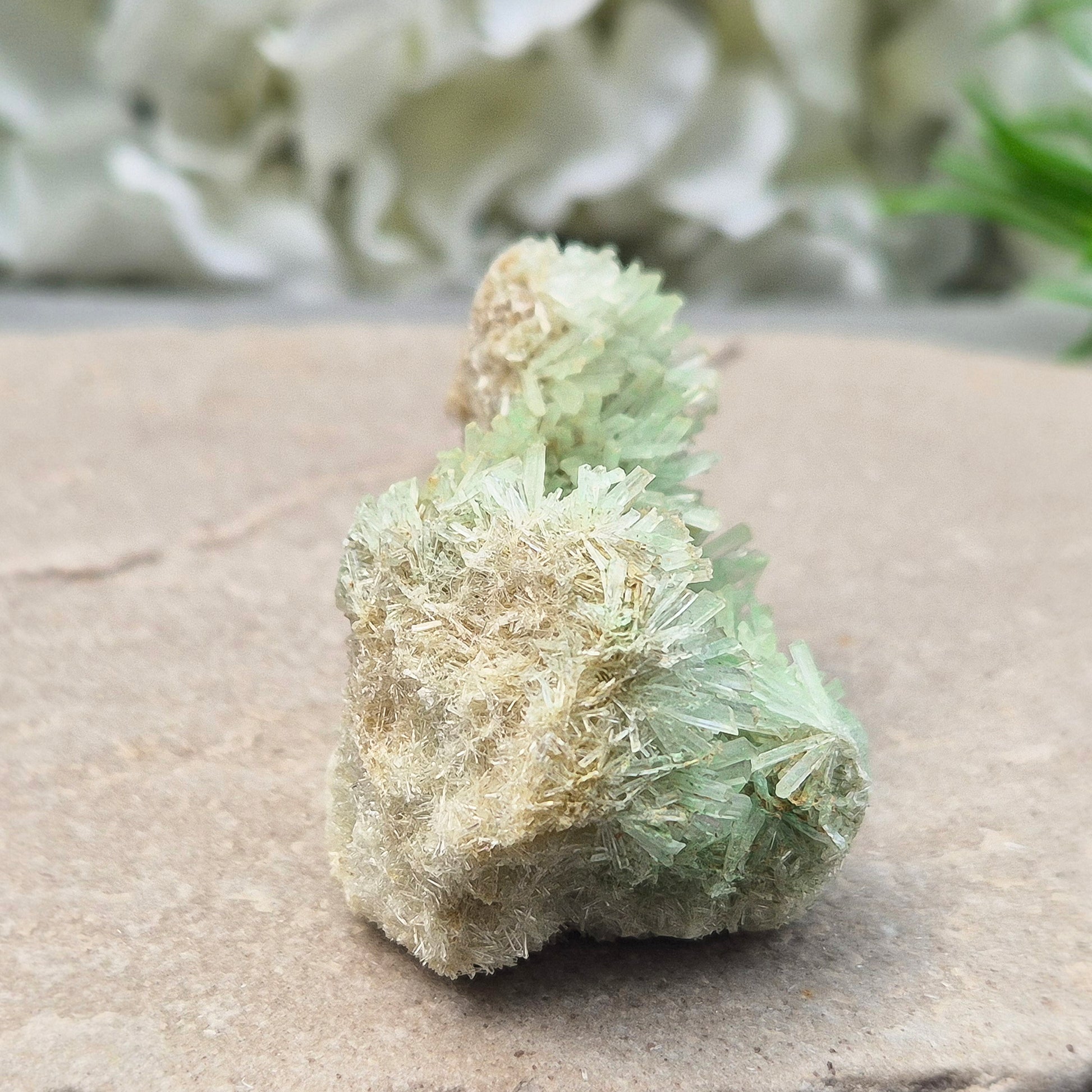 This rare Green Gypsum Cluster comes from Southern Australia. It features delicate needle-like crystals in pale green and white sprays. These clusters are uncommon and highly collectible, this cluster brings a soft yet powerful energy to any space or collection.
