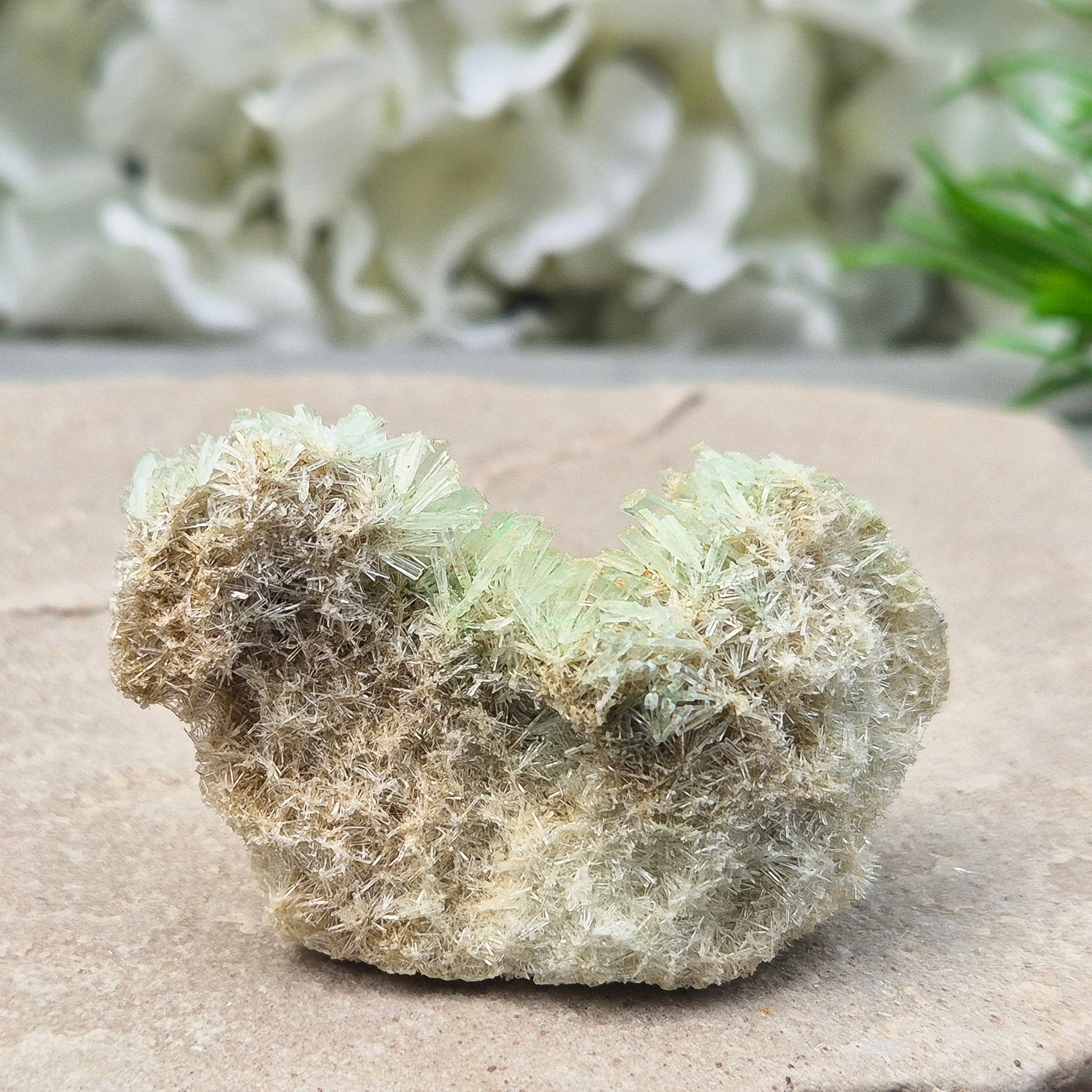 This rare Green Gypsum Cluster comes from Southern Australia. It features delicate needle-like crystals in pale green and white sprays. These clusters are uncommon and highly collectible, this cluster brings a soft yet powerful energy to any space or collection.
