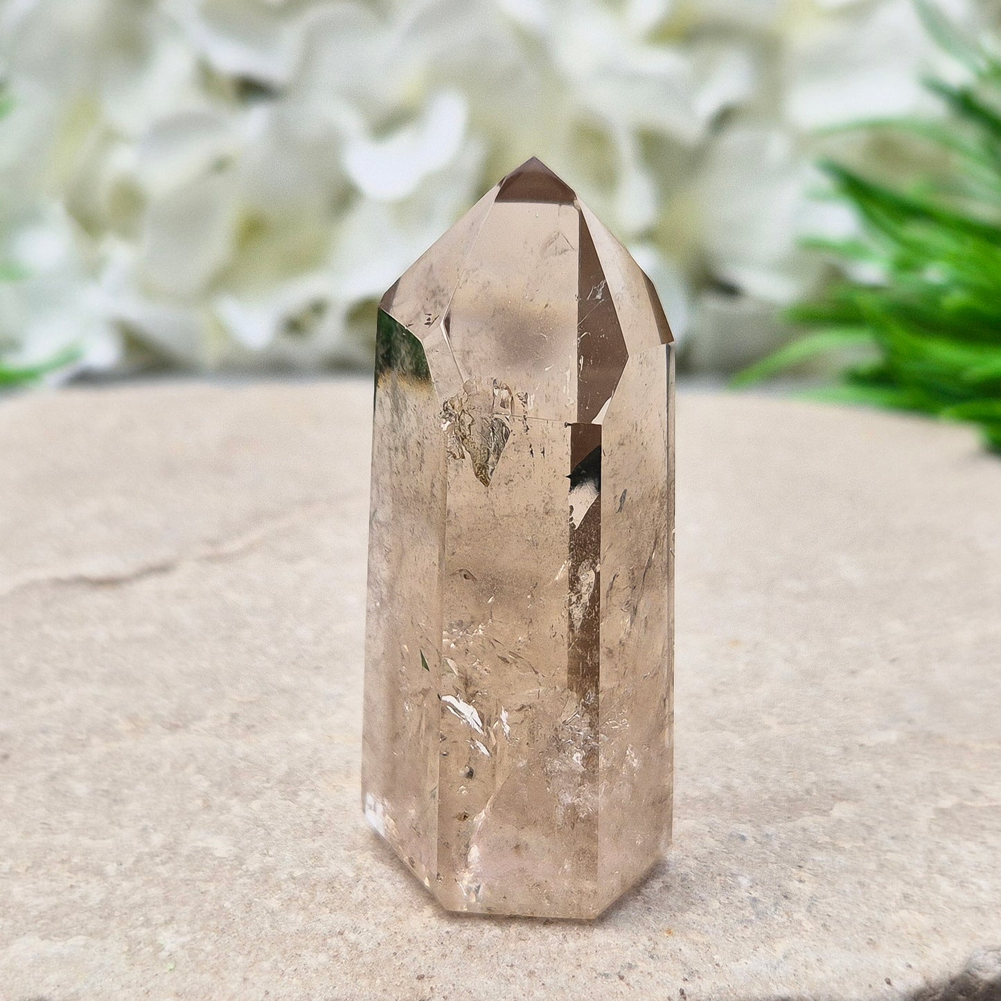 This polished Smoky Quartz point from Brazil features a light brown tone with subtle, light-reflecting inclusions. It’s not heat-treated — this is genuine, naturally formed Smoky Quartz. 