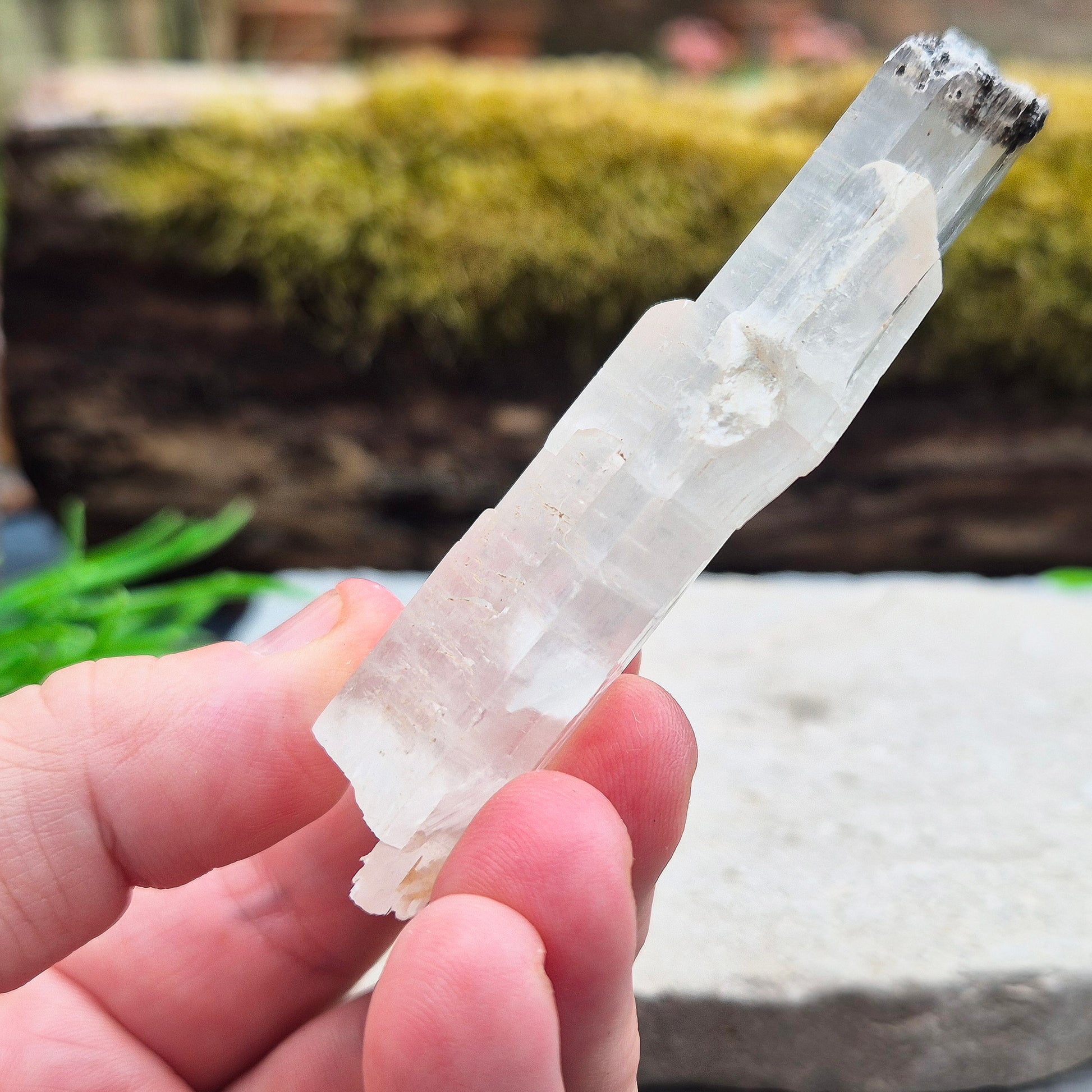 This striking natural Gypsum natural wand from Mexico is absolutely wonderful. Long and flat, it’s a beautifully clear piece with a high sheen and natural striations running through the blade. It’s one of those crystals that feels like it was meant to be held — light yet solid, and full of presence.