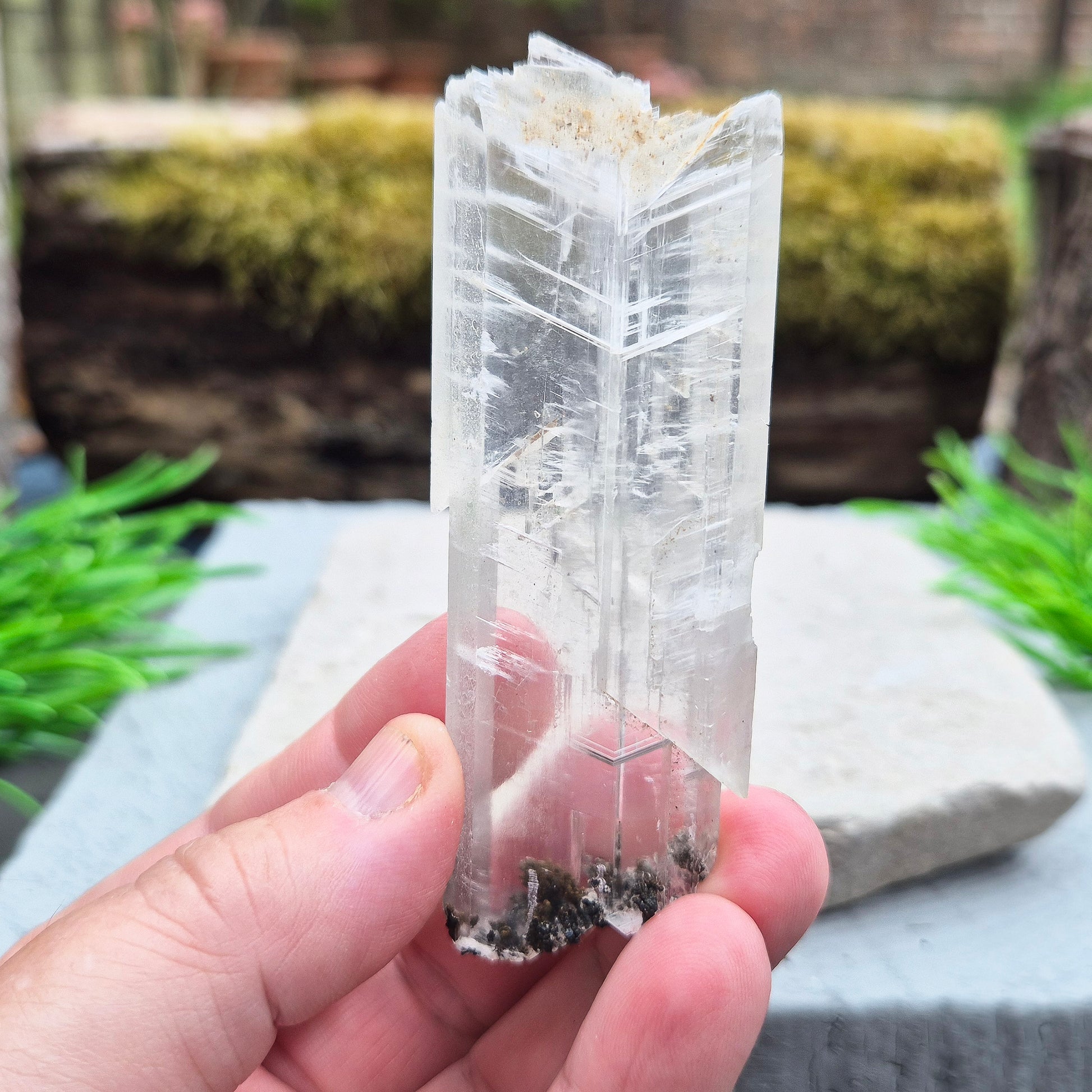 This striking natural Gypsum natural wand from Mexico is absolutely wonderful. Long and flat, it’s a beautifully clear piece with a high sheen and natural striations running through the blade. It’s one of those crystals that feels like it was meant to be held — light yet solid, and full of presence.