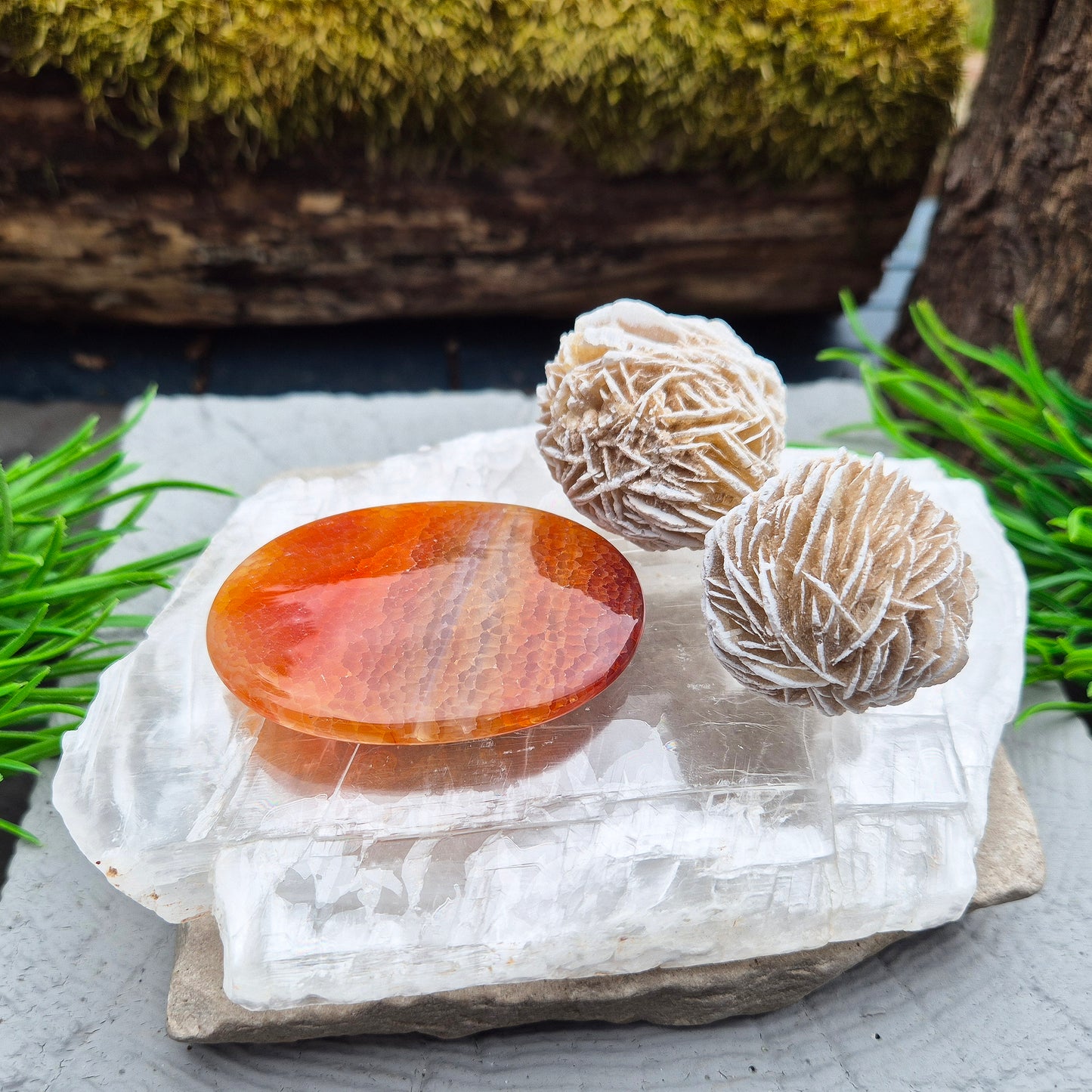 This striking Selenite Window — also known as Utah Ice — comes directly from the Glitter Mountain site near the Utah-Arizona border. It’s a true collector’s piece, naturally smooth with a glossy, high-lustre finish and exceptional internal clarity. 