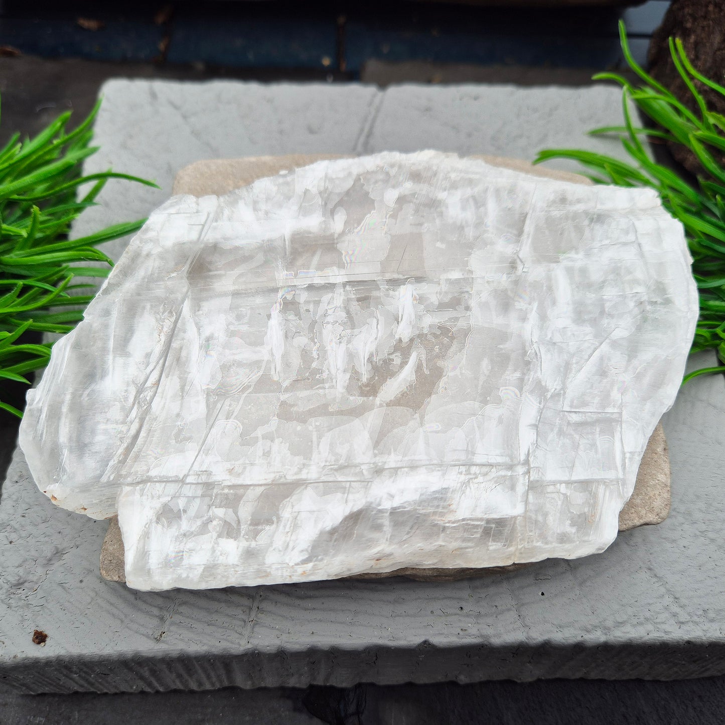This striking Selenite Window — also known as Utah Ice — comes directly from the Glitter Mountain site near the Utah-Arizona border. It’s a true collector’s piece, naturally smooth with a glossy, high-lustre finish and exceptional internal clarity. 