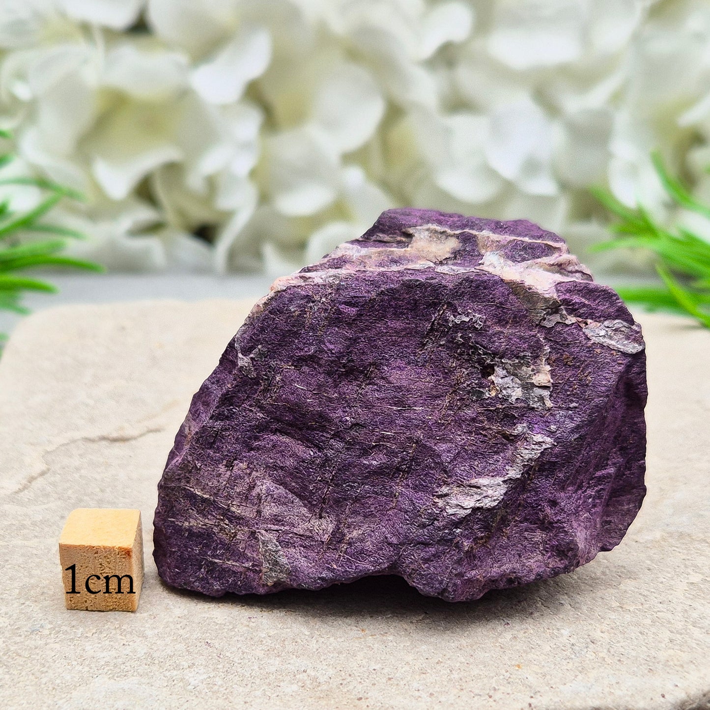Purpurite Crystal, Natural | Speak Your Truth & Break Old Patterns | Crystal Collection Special