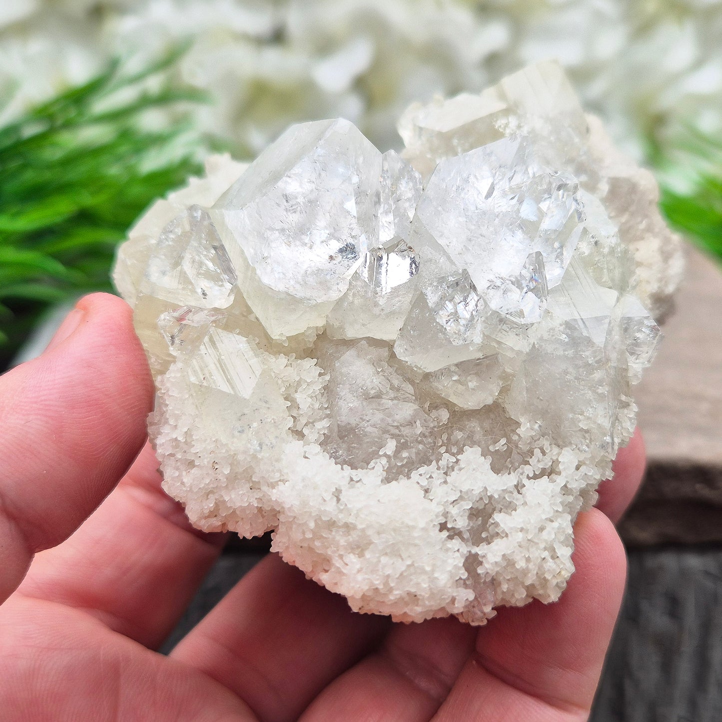 This stunning Apophyllite crystal cluster from India features clear and milky white points with intact Apophyllite pyramids as part of the crystals on matrix. Does sit a slight angle.
