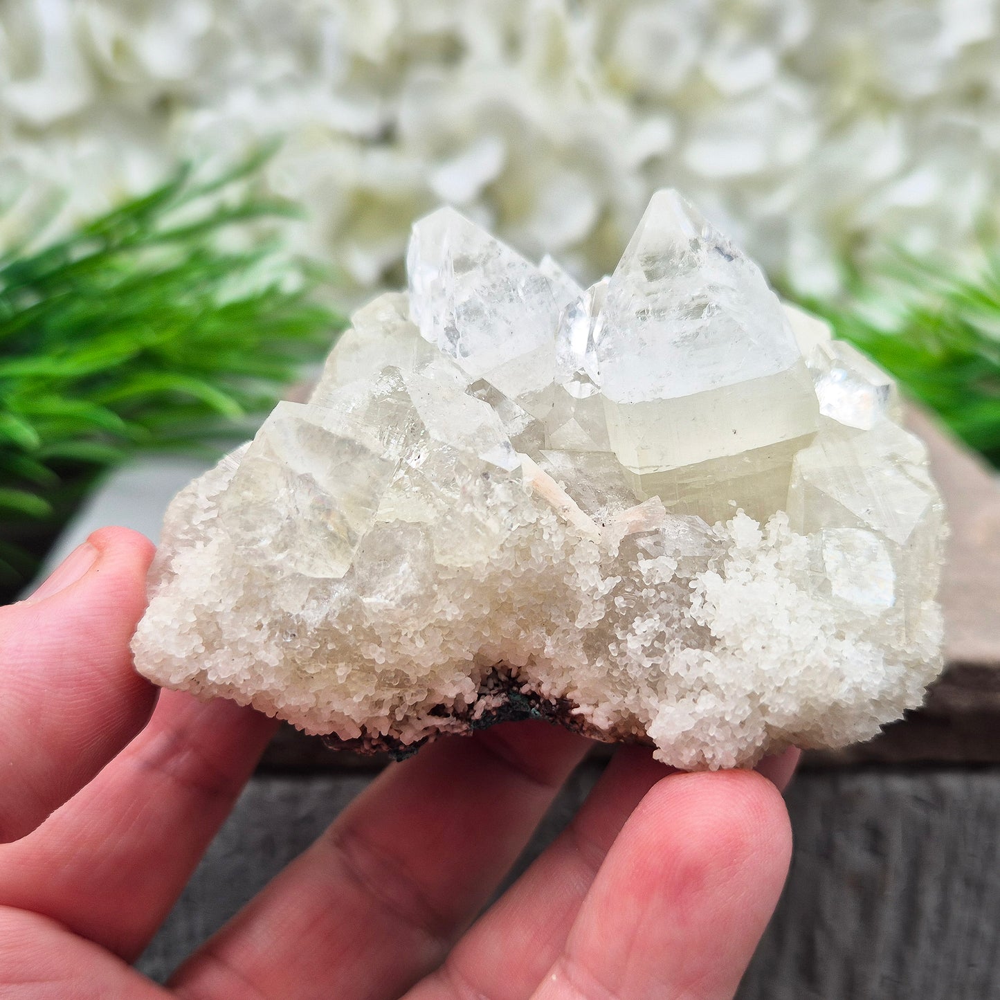 This stunning Apophyllite crystal cluster from India features clear and milky white points with intact Apophyllite pyramids as part of the crystals on matrix. Does sit a slight angle.