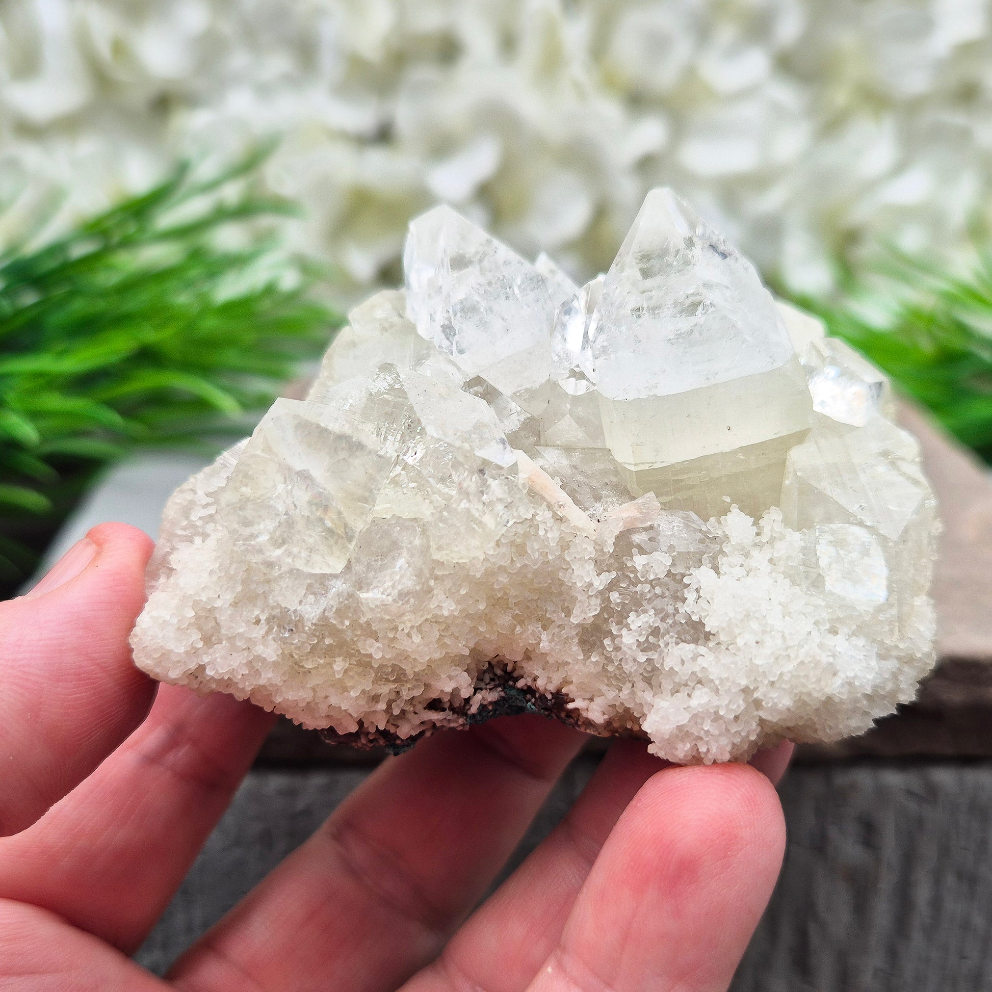 This stunning Apophyllite crystal cluster from India features clear and milky white points with intact Apophyllite pyramids as part of the crystals on matrix. Does sit a slight angle.